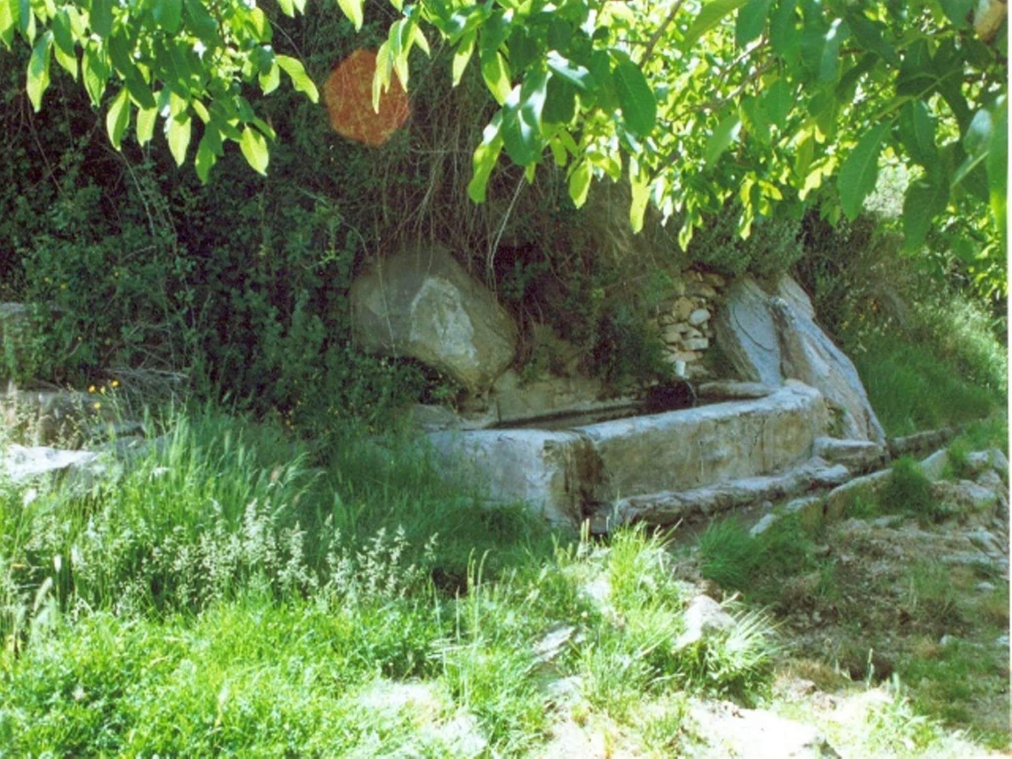   La Curiosa
