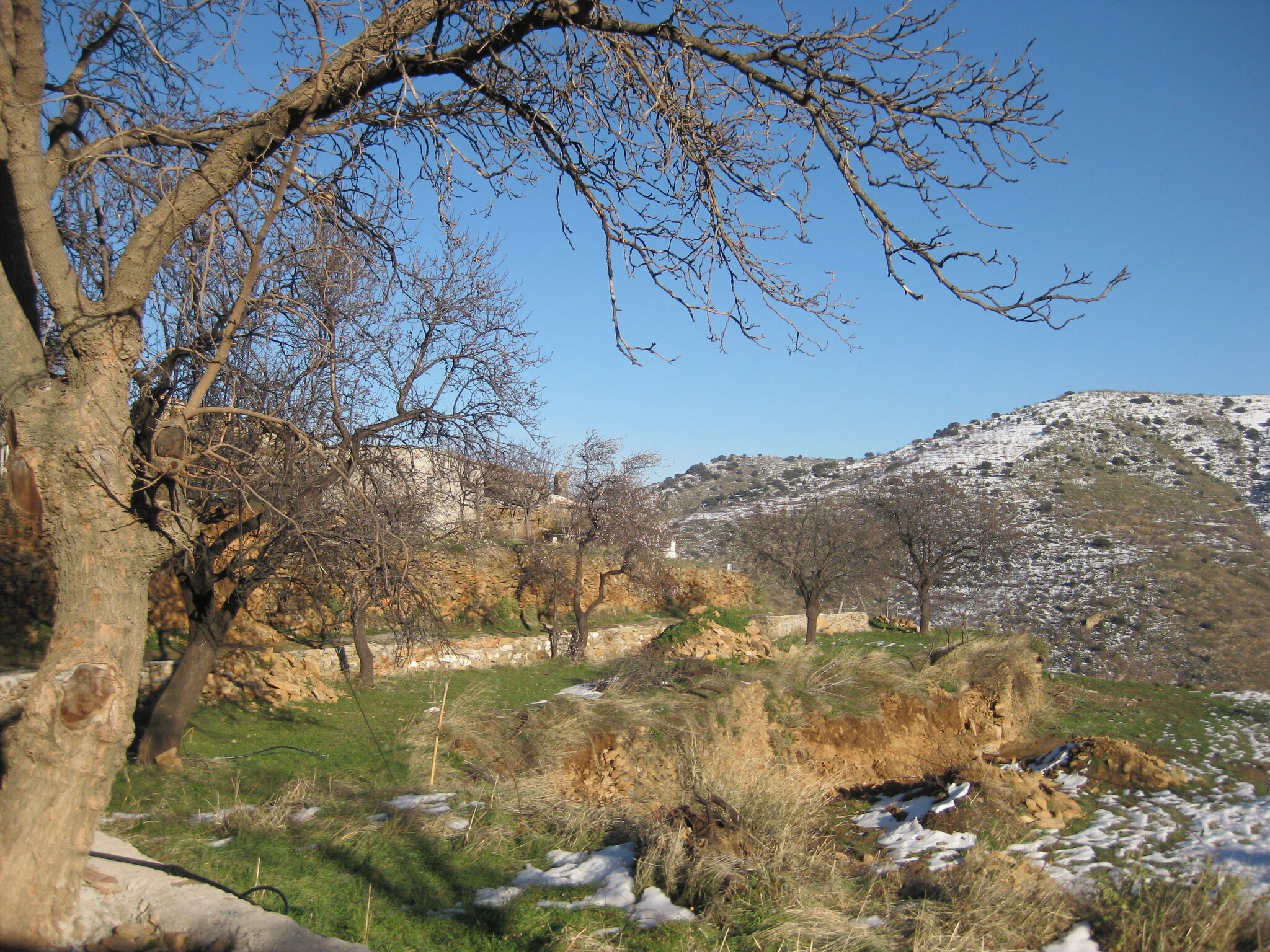   San Marcos