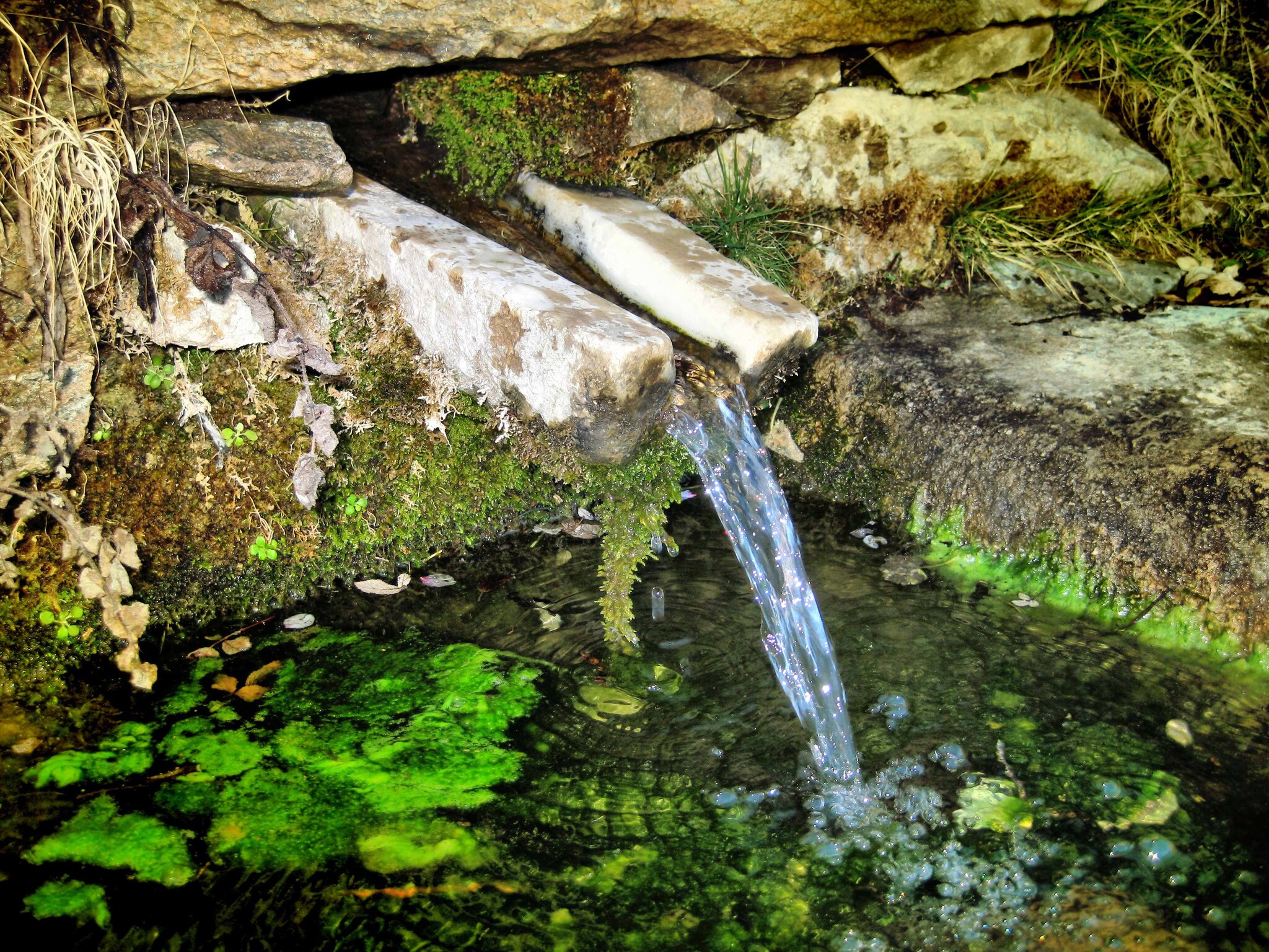   San Marcos