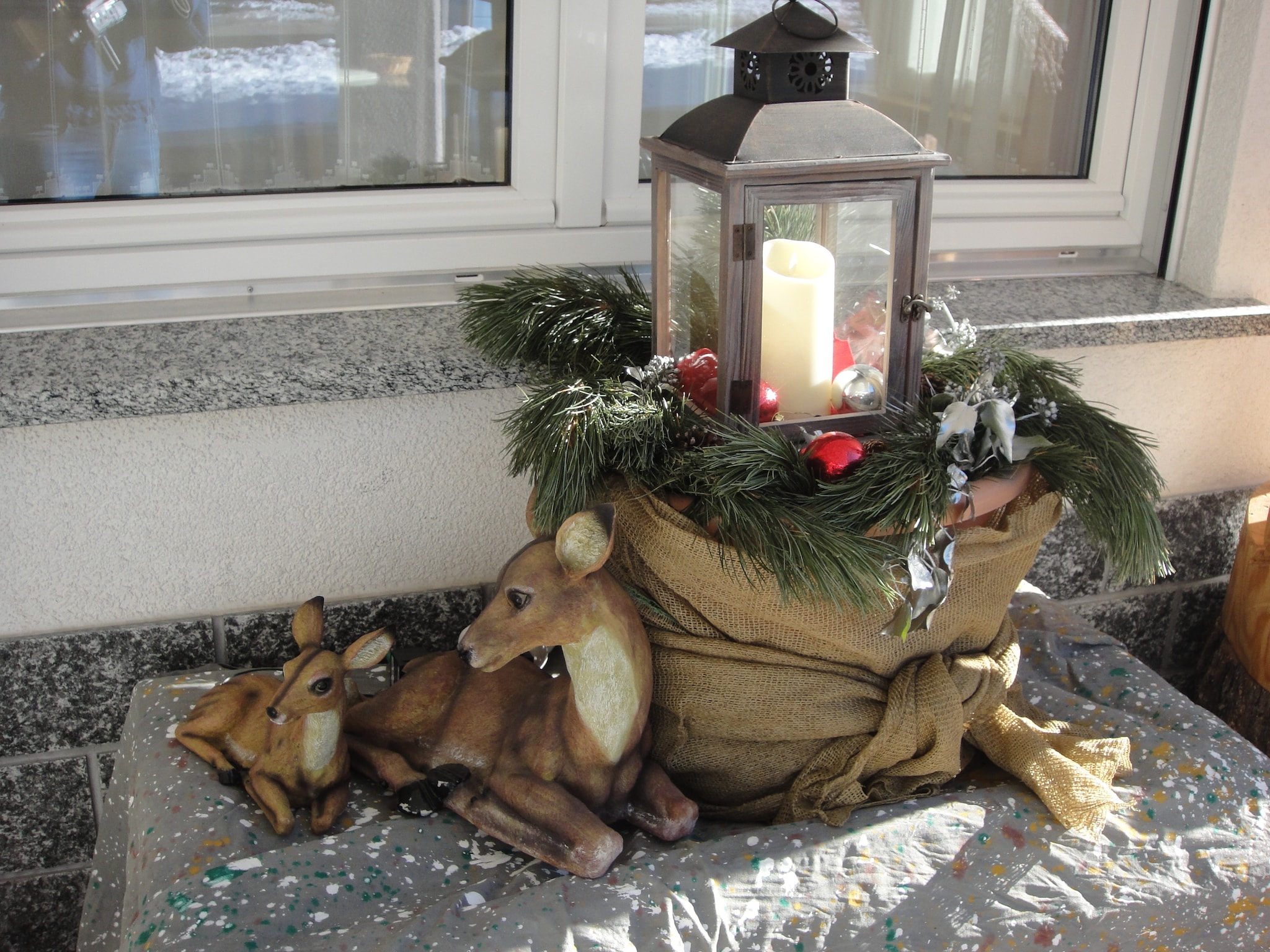 Ferienwohnung Haus Alpenstern Wohnung Älpi