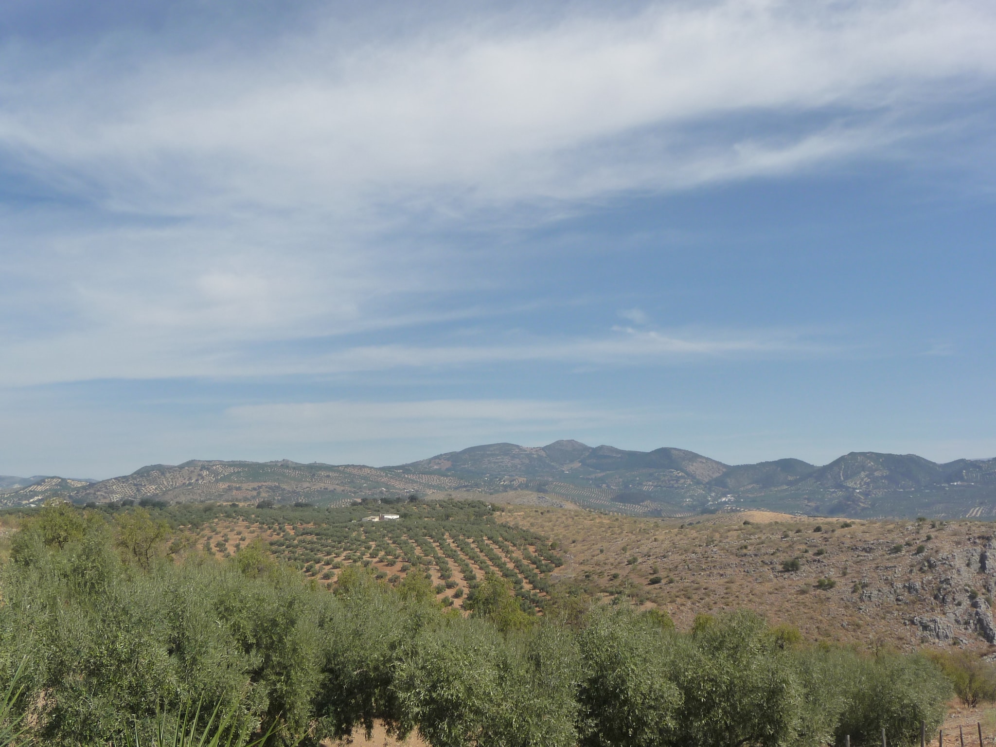 Casa de vacaciones Cortijo El Morron