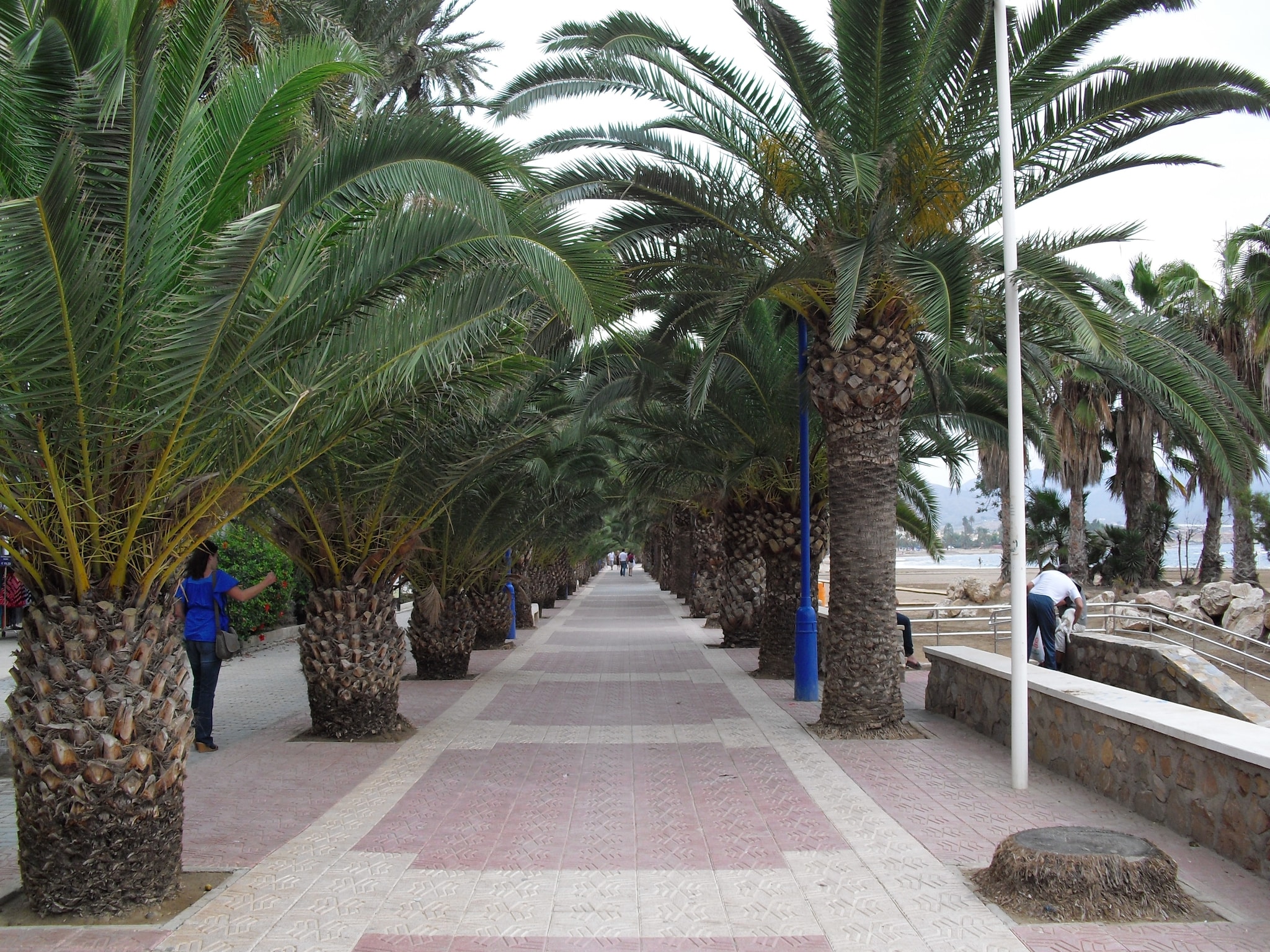 Feriebolig Villa Costa de la Vida