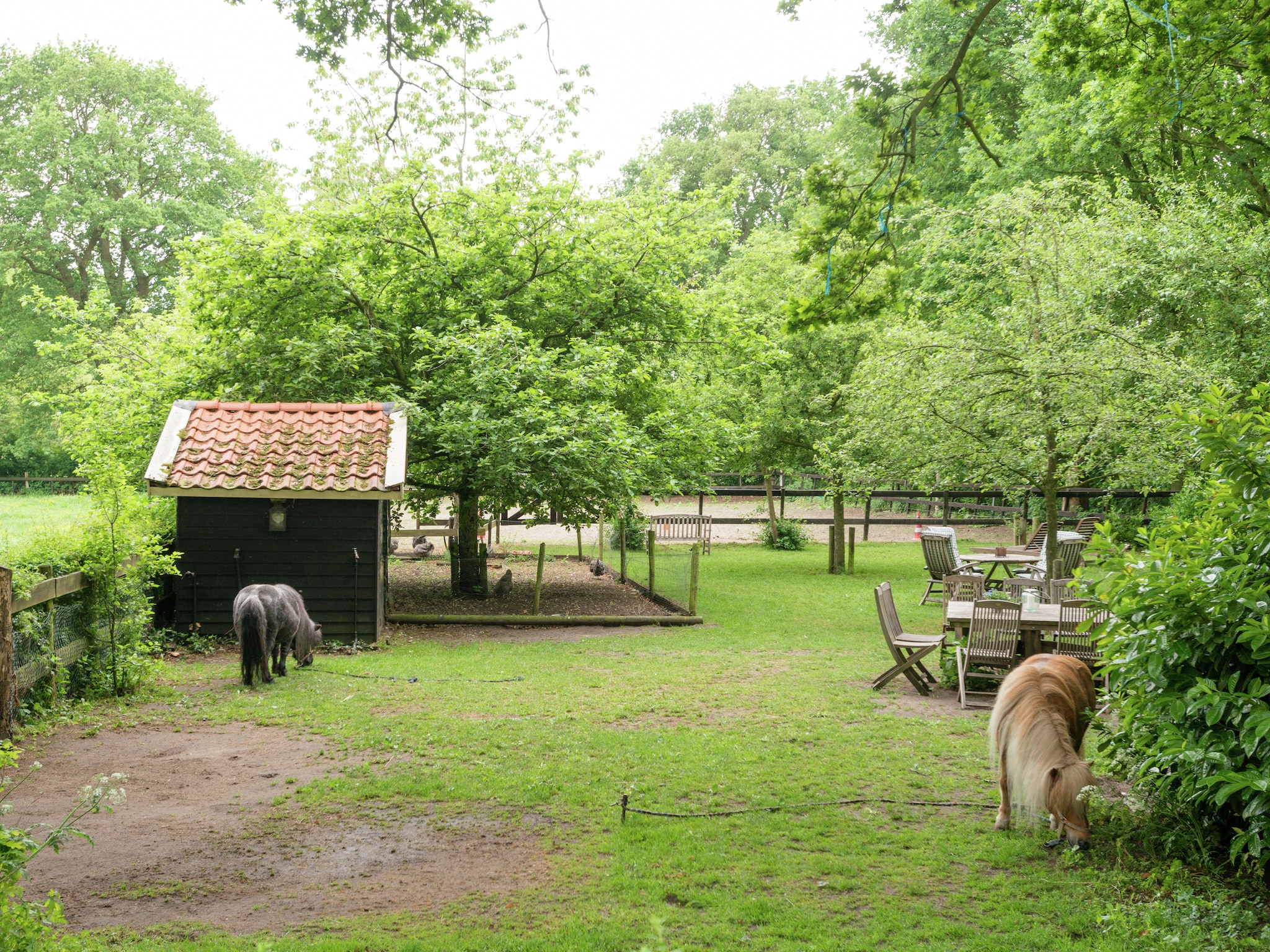 Vakantiehuis De Eekhorst