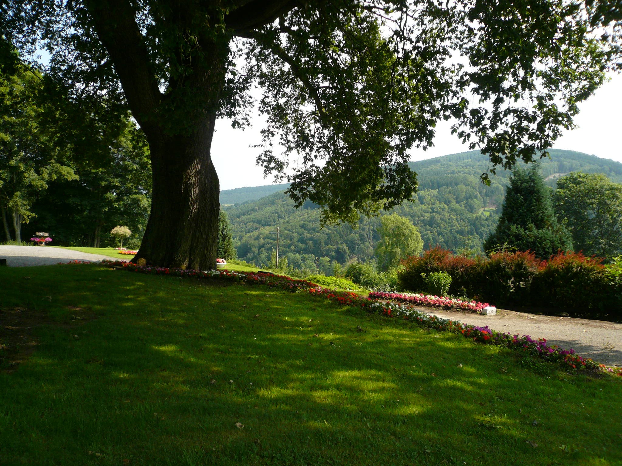   Sur le Thiers