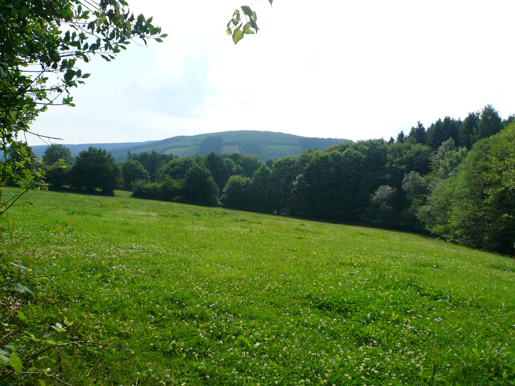   Sur le Thiers