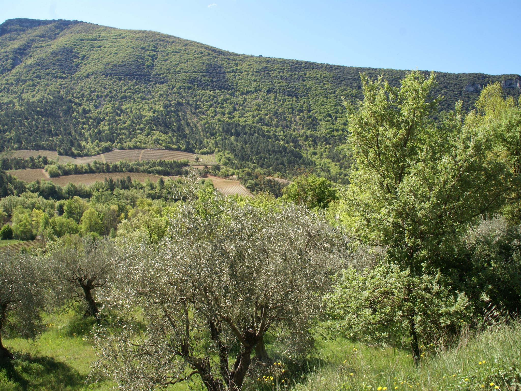 Ferienwohnung Appartement - MONTBRUN-LES-BAINS