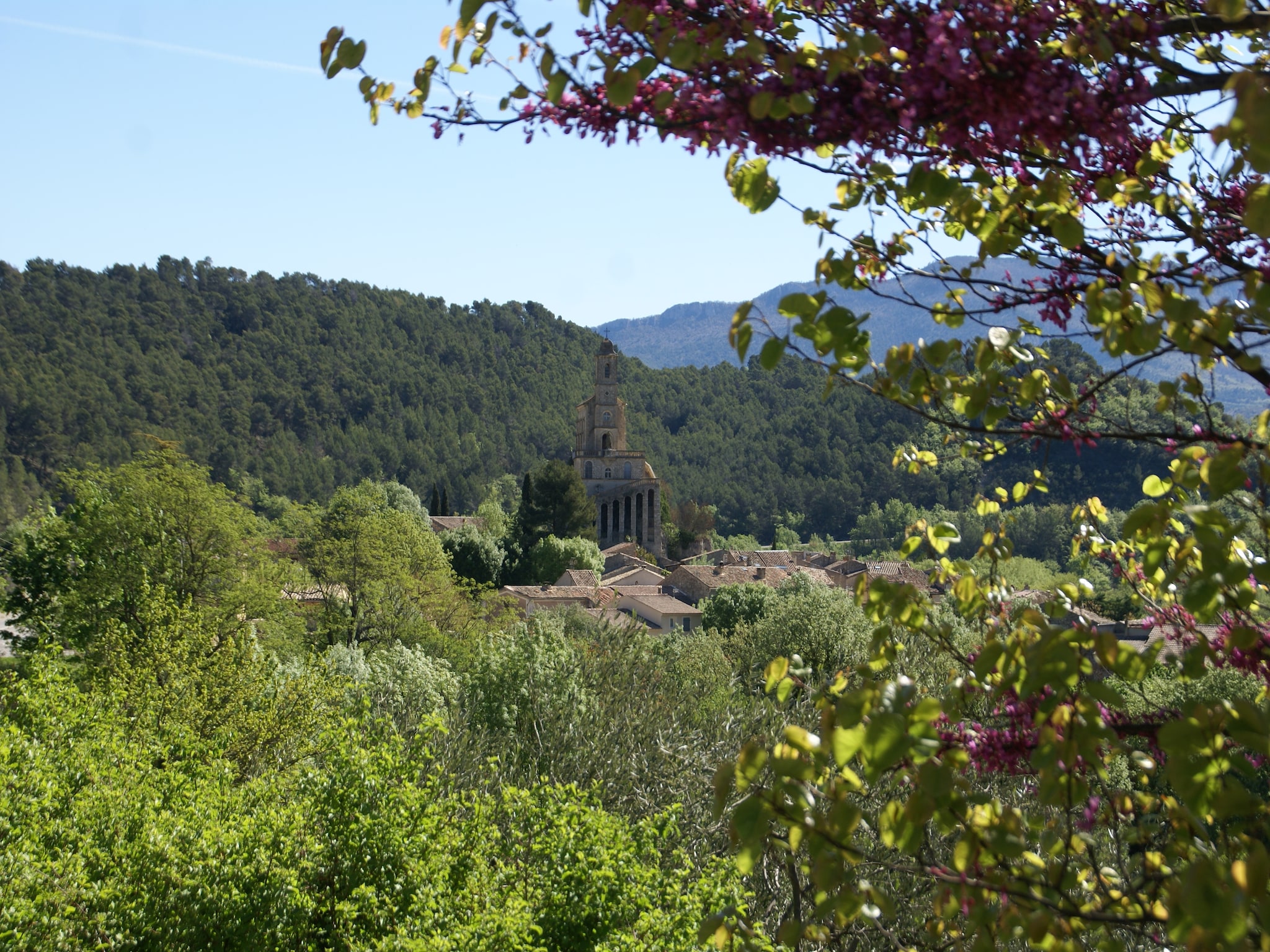 Appartement Appartement - MONTBRUN-LES-BAINS