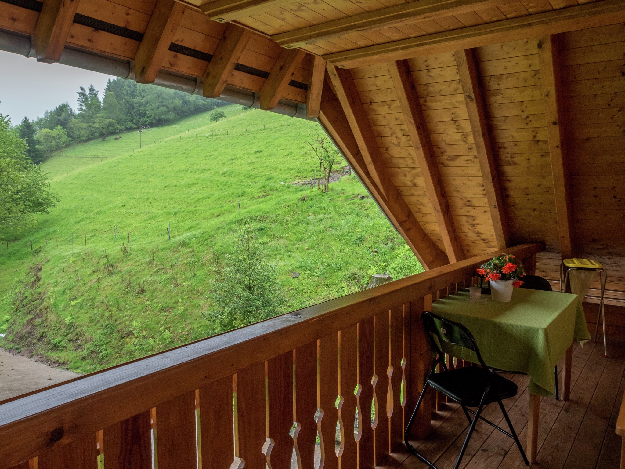 Holiday home Schwarzwald - Sommeracker