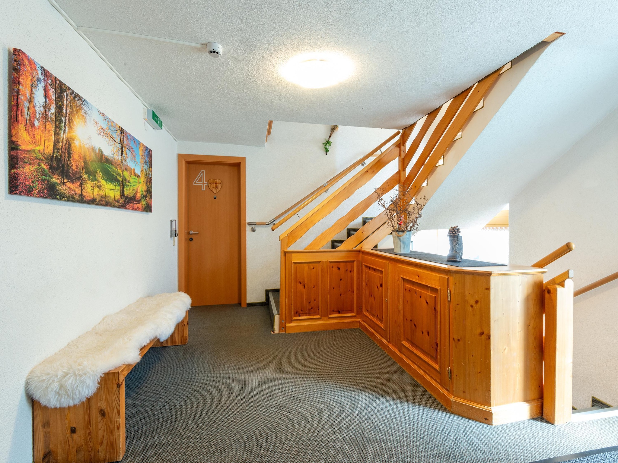   Apartment 2-4/1