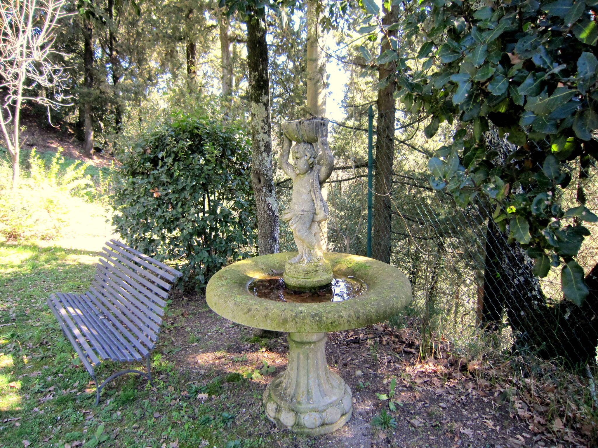   Volta