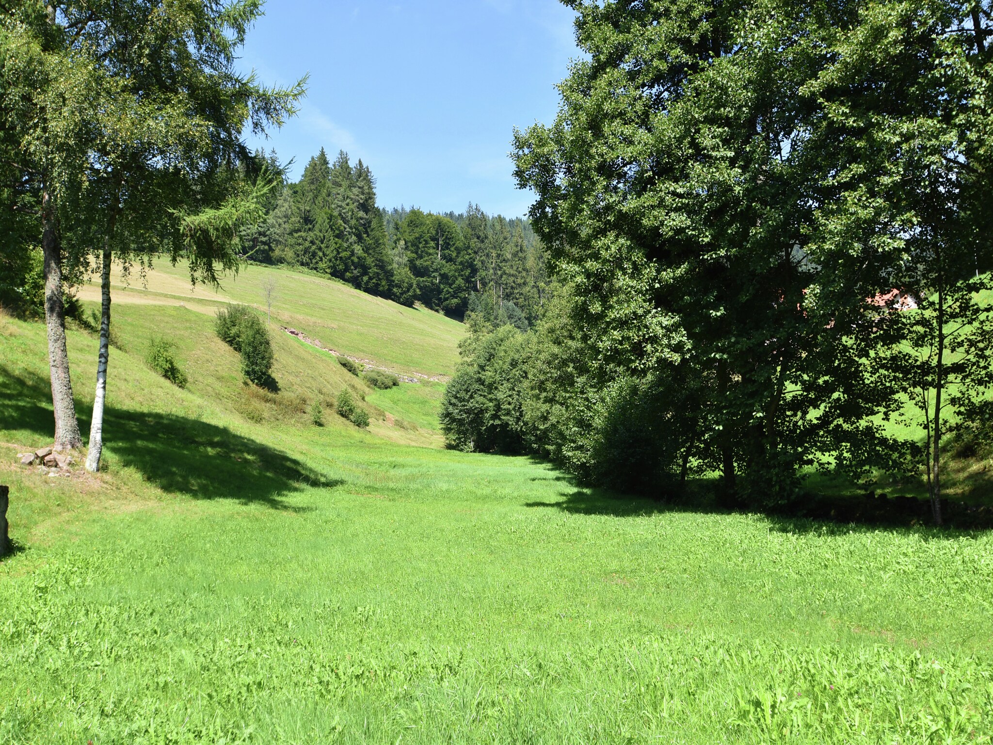 Ferienwohnung Fahrner
