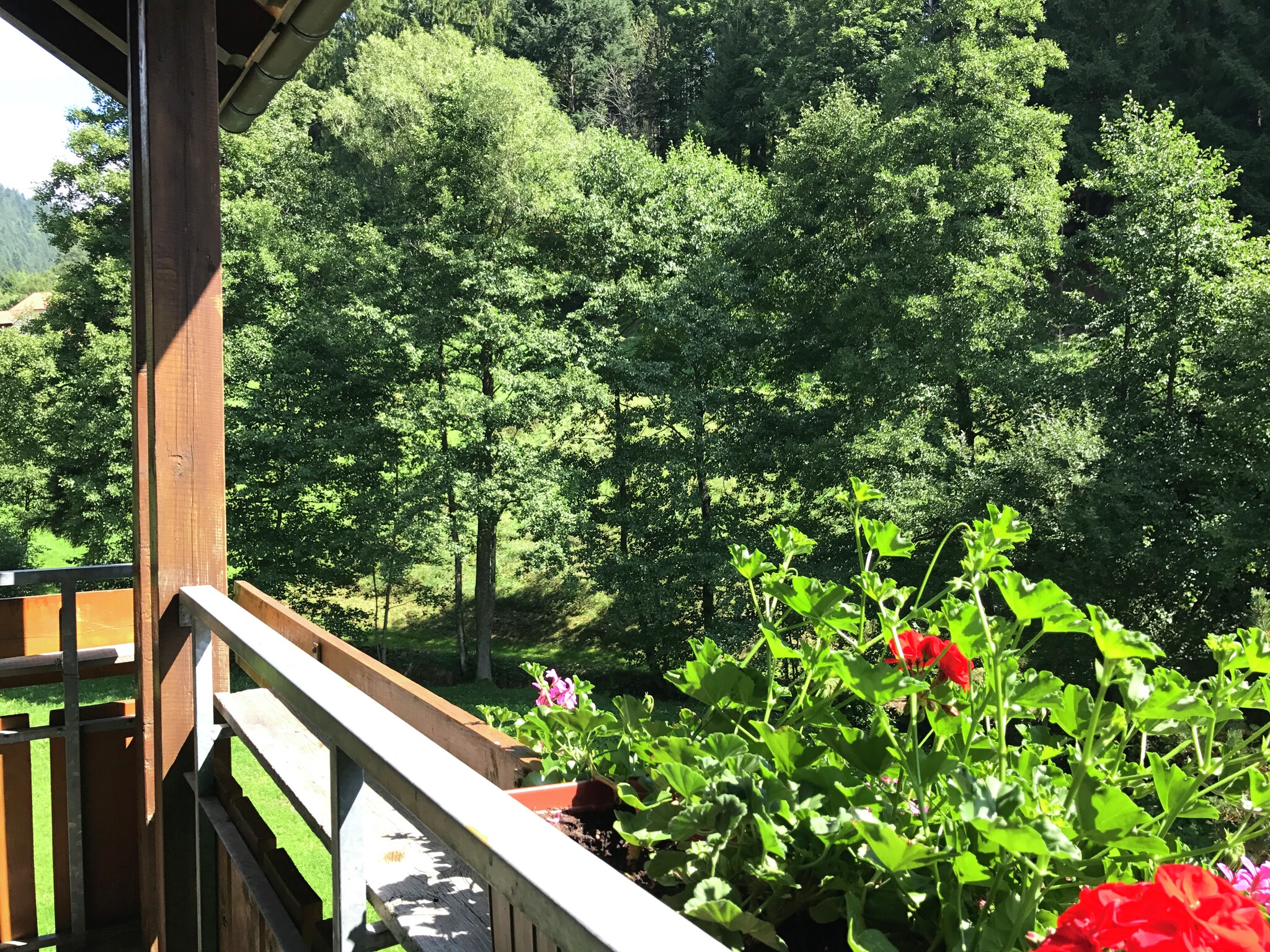 Ferienwohnung Fahrner