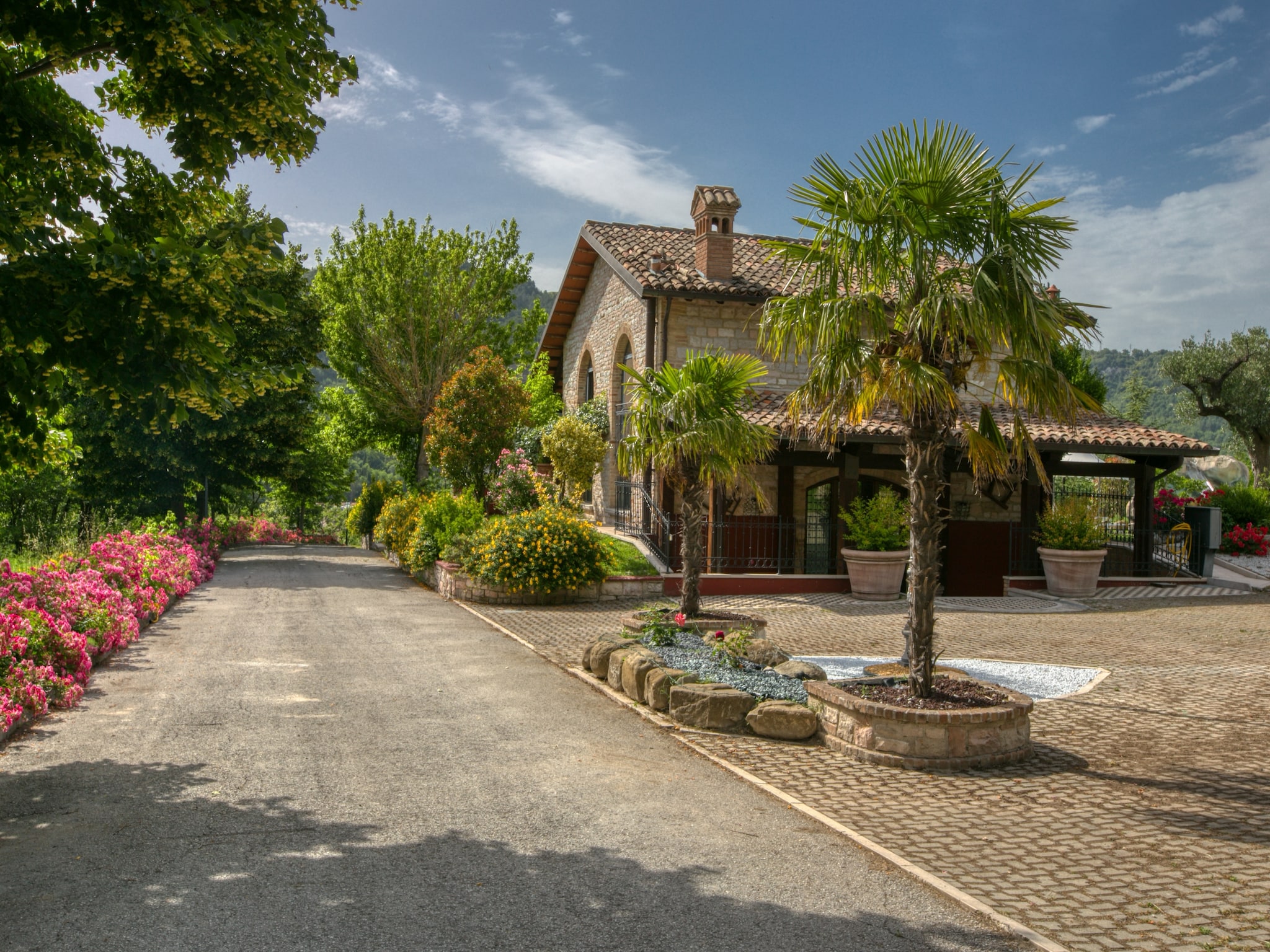   Belvedere