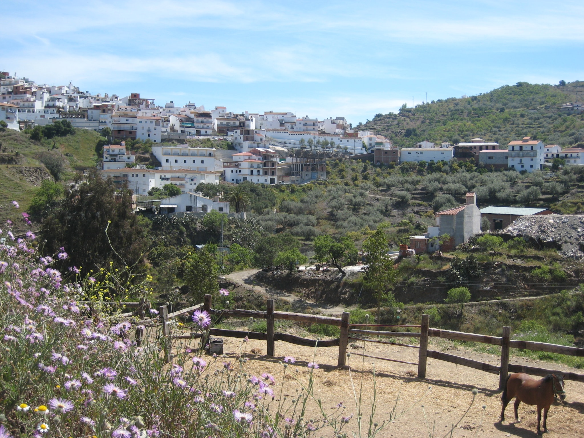 Holiday home Casa Martijo