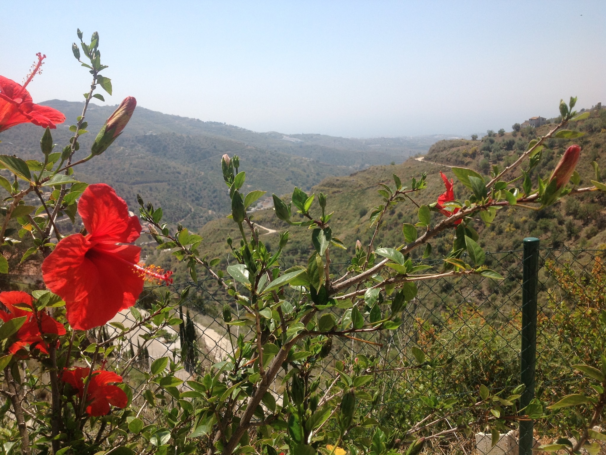 Holiday home Casa Martijo