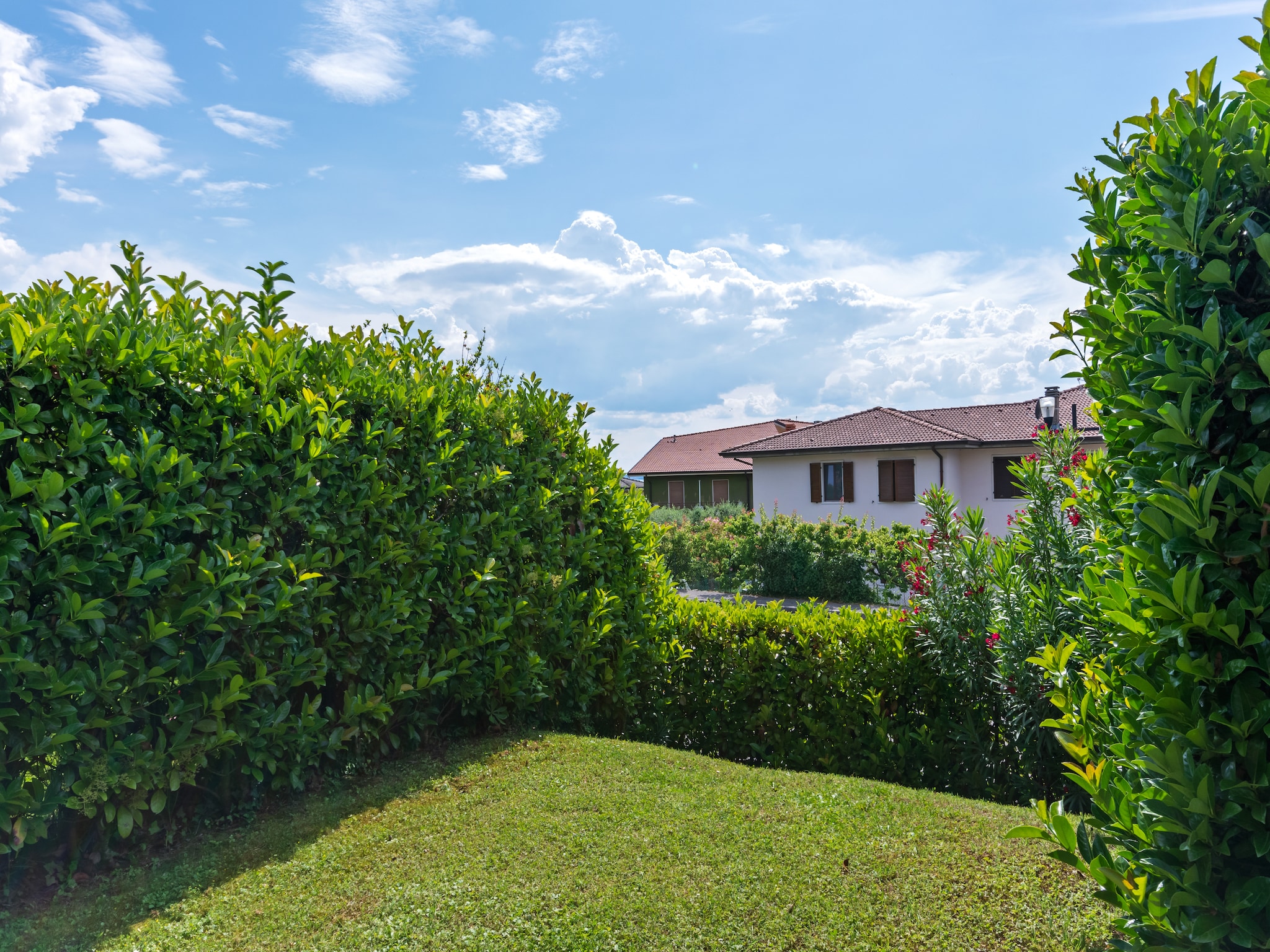   Bardolino Trentanove