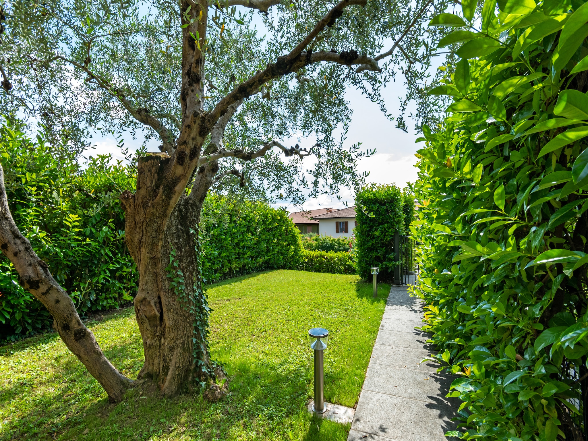   Bardolino Trentanove