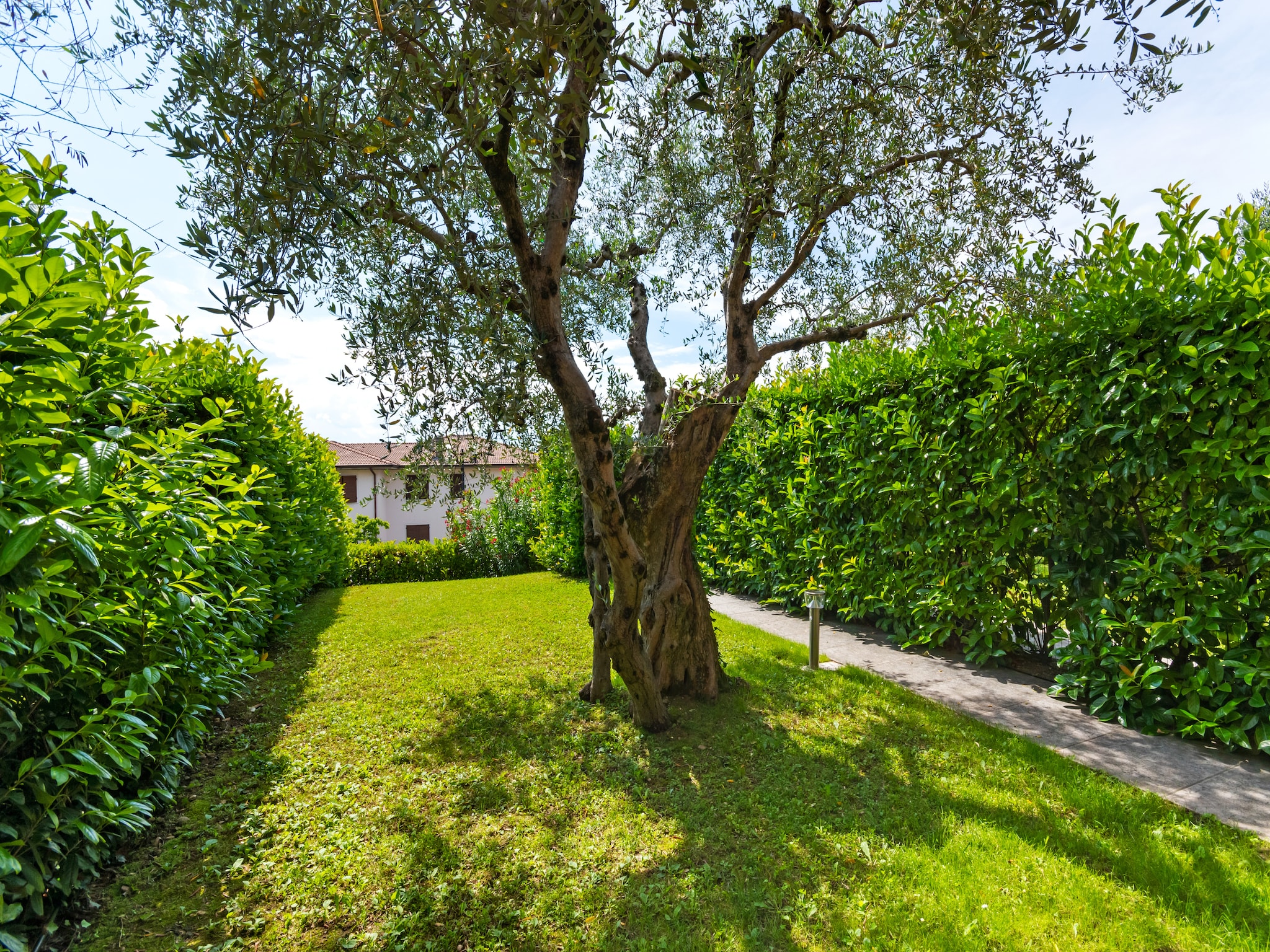  Bardolino Trentanove
