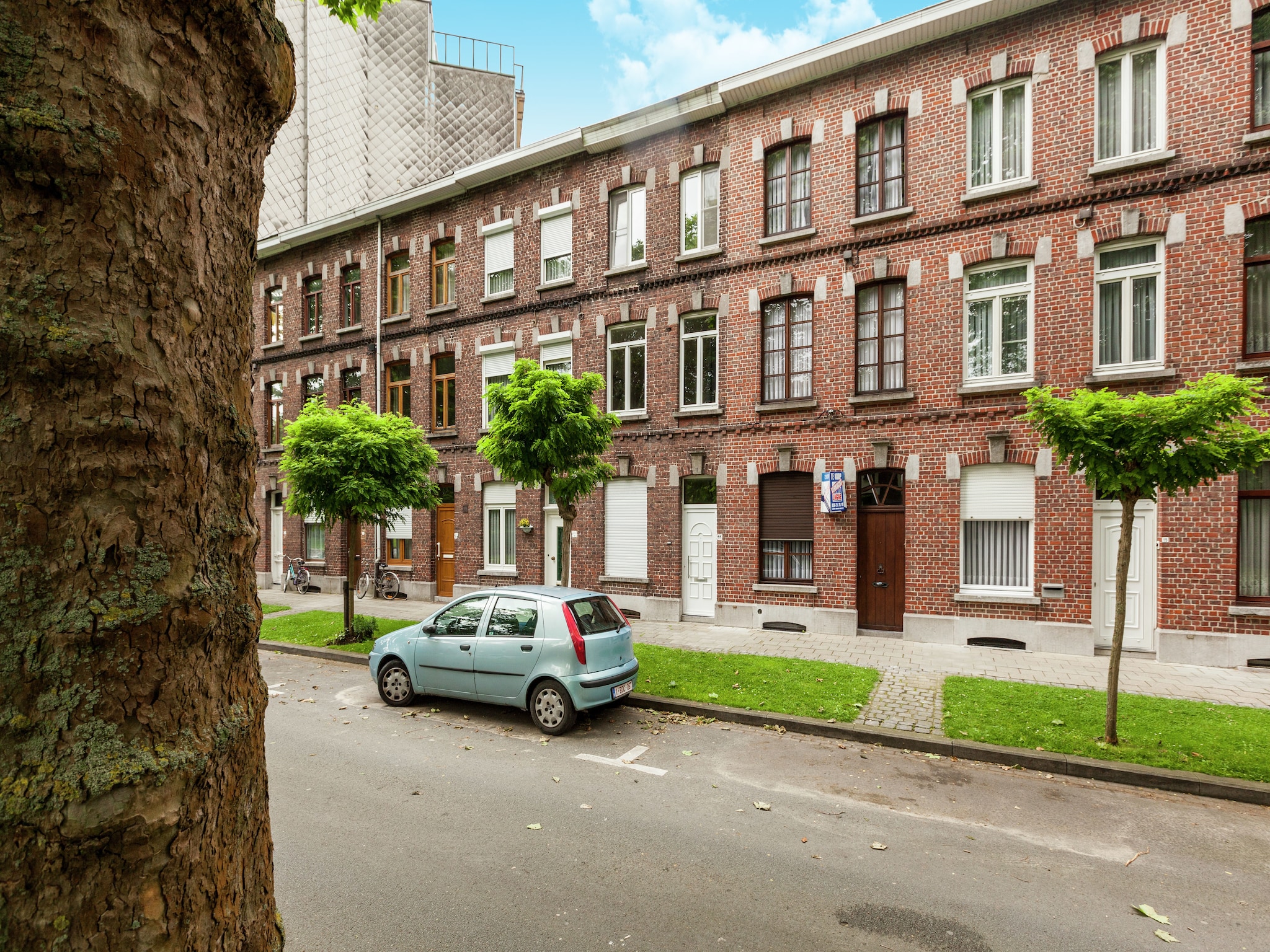   Leeuw van Vlaanderen