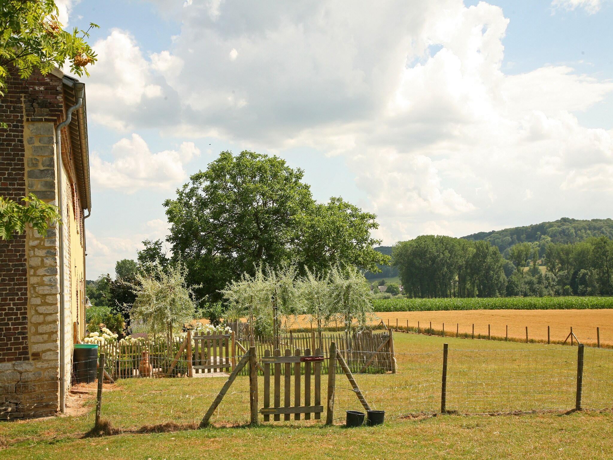 Casa di vacanze Hoeve in gunne winkel 1