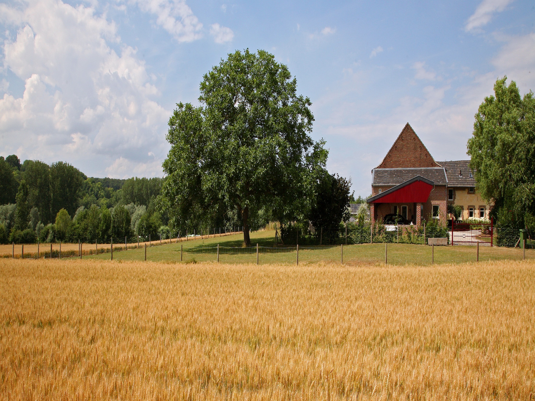 Casa di vacanze Hoeve in gunne winkel 1