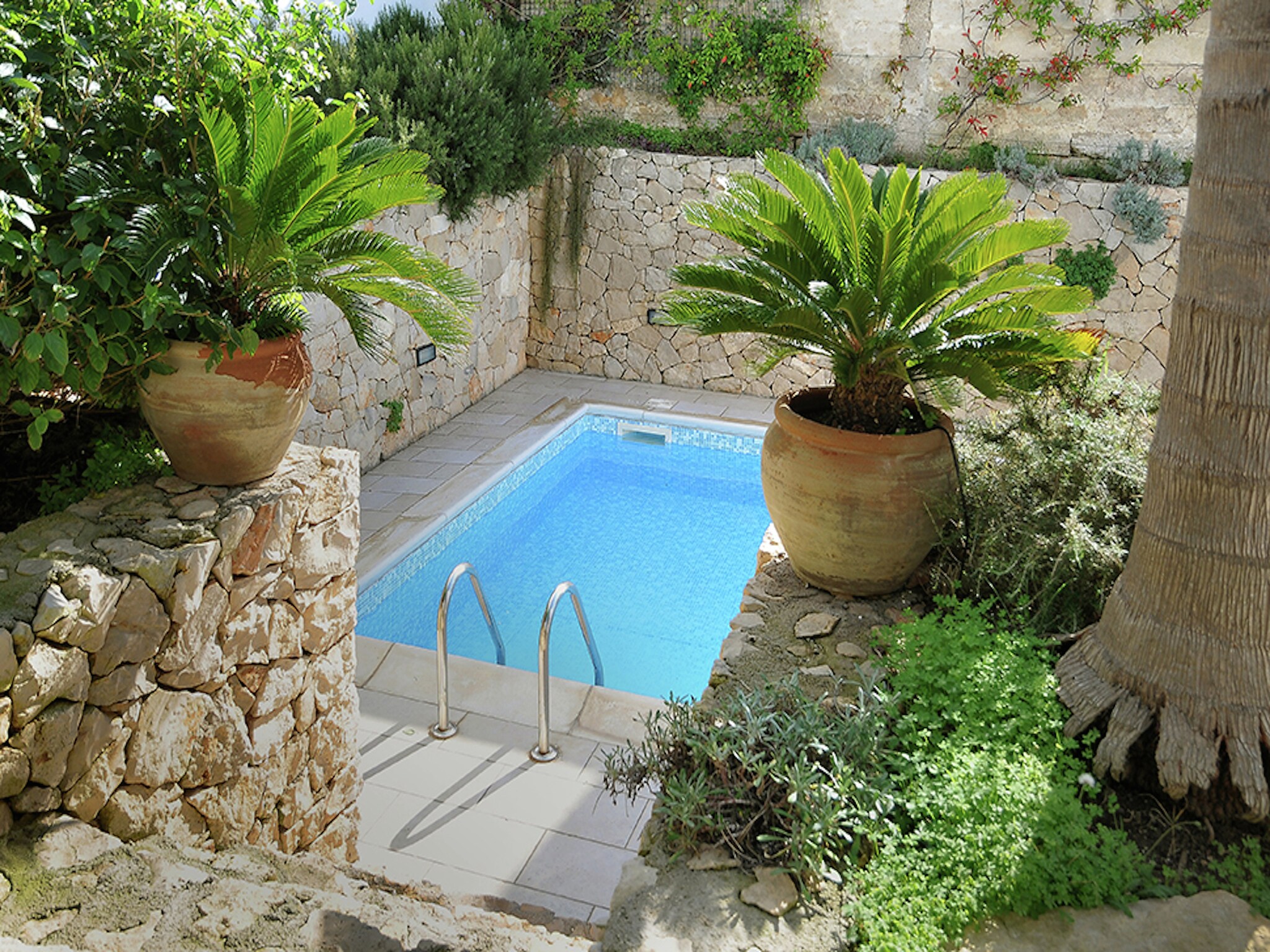   Quattro Colonne Uno con Piscina