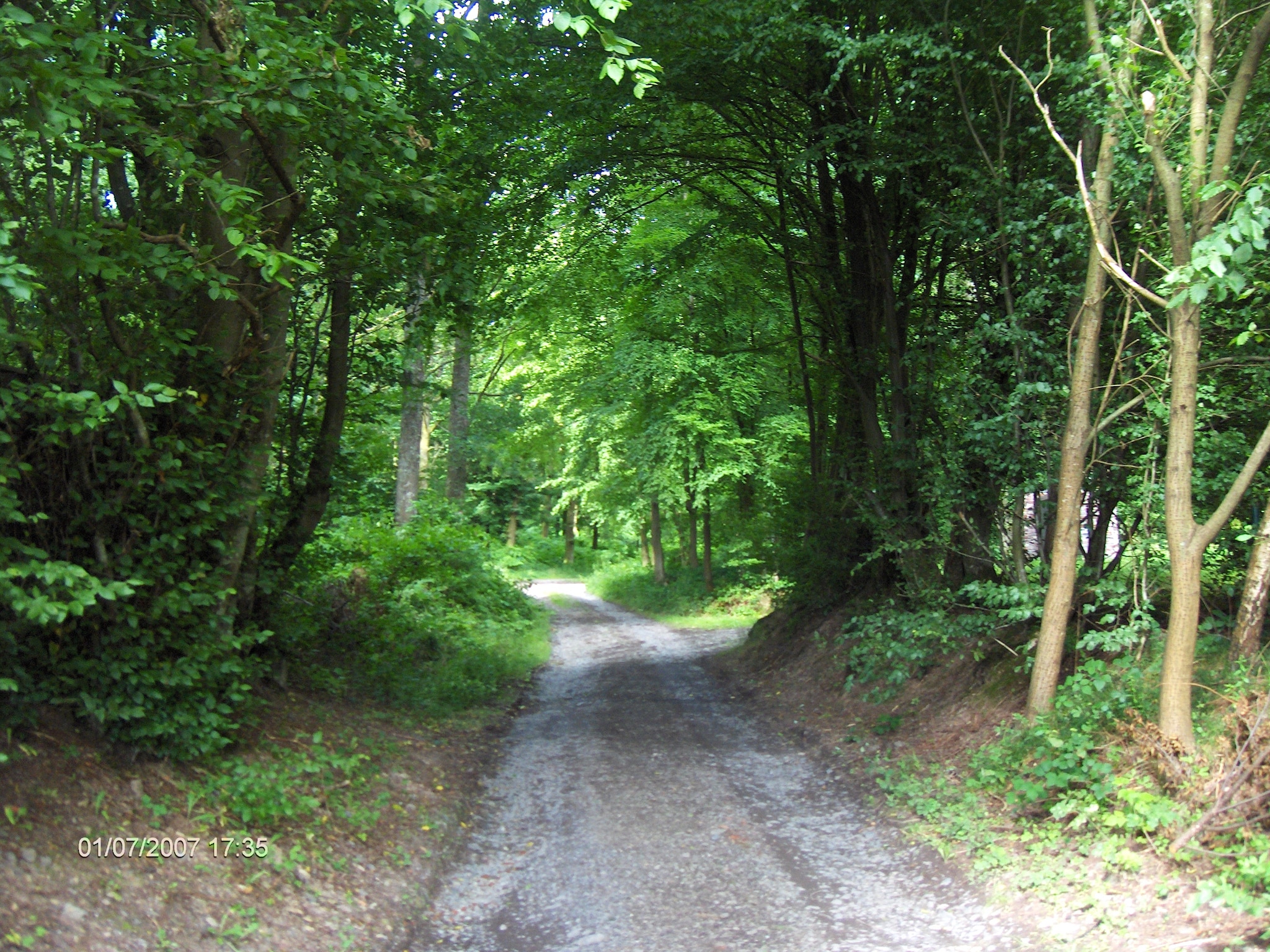 Vakantiehuis Les Sittelles
