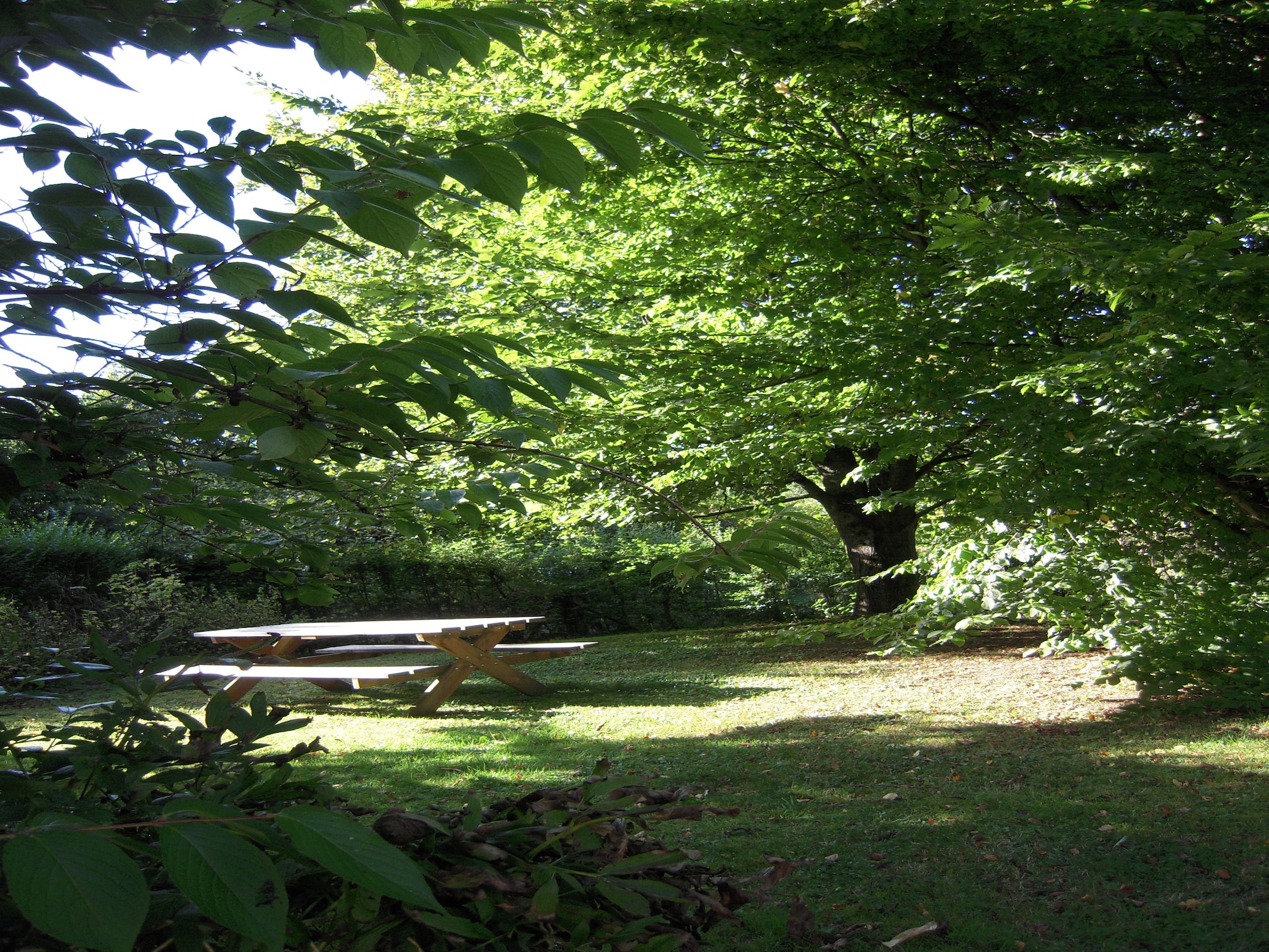 Vakantiehuis Les Sittelles