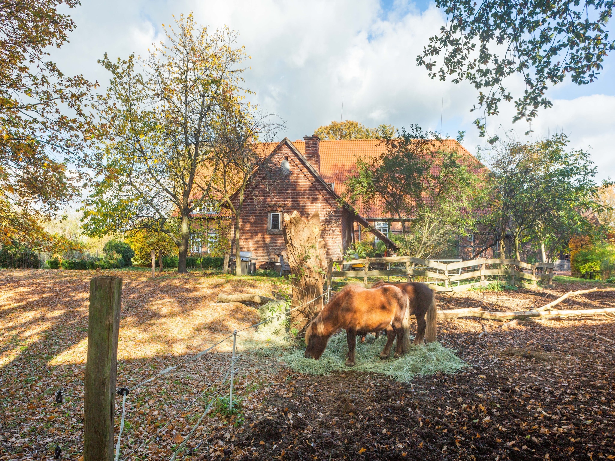 Ferienhaus Biobauernhof