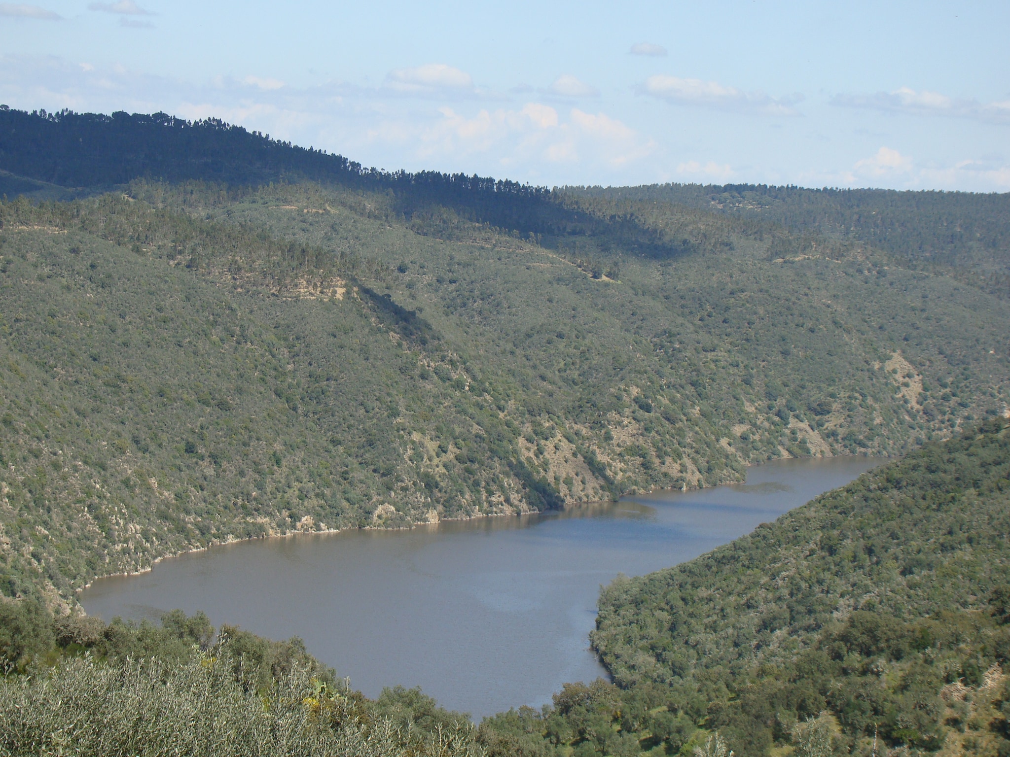   La Galana
