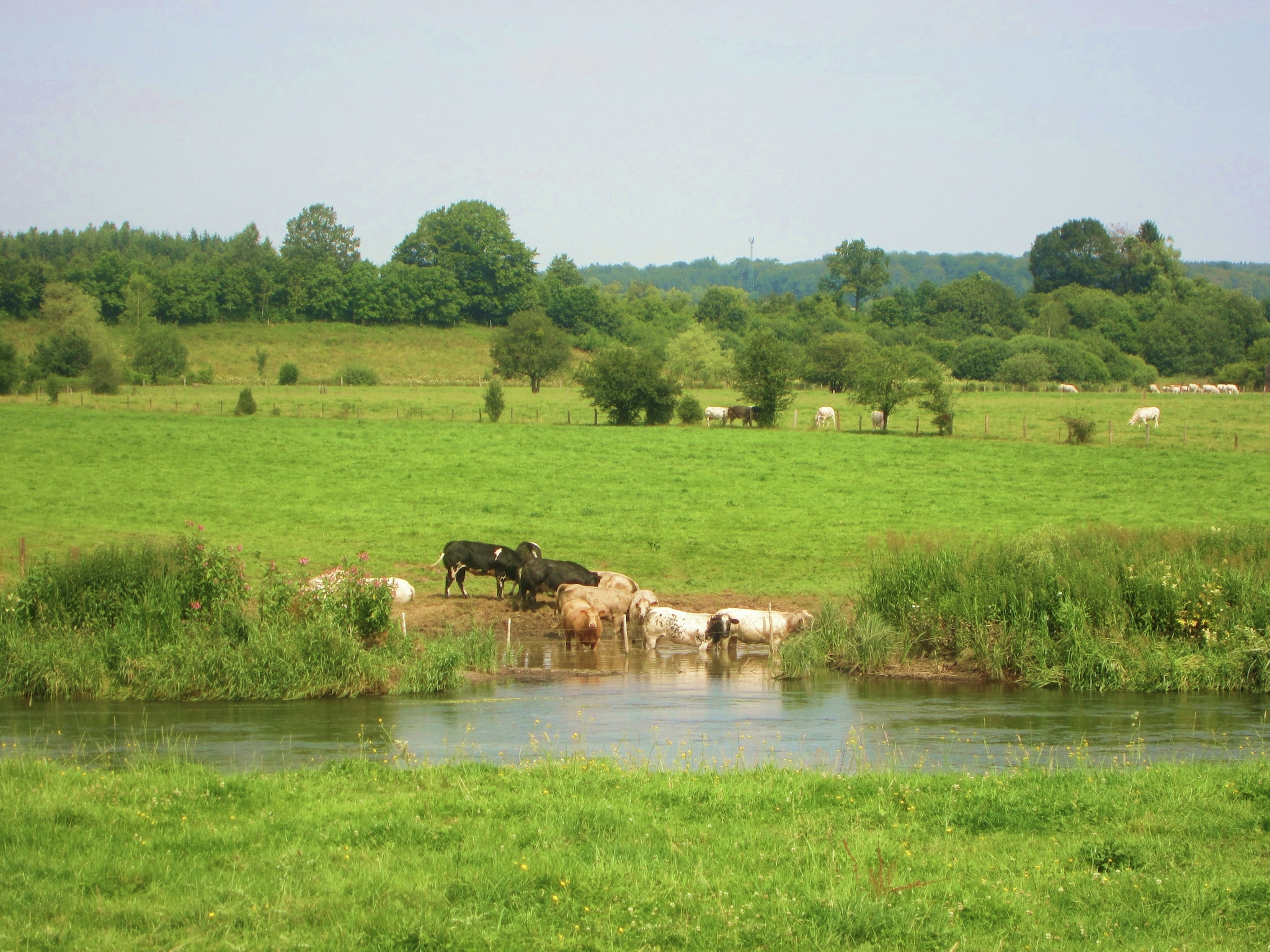 Ferienhaus Le Moulin Sylvestre
