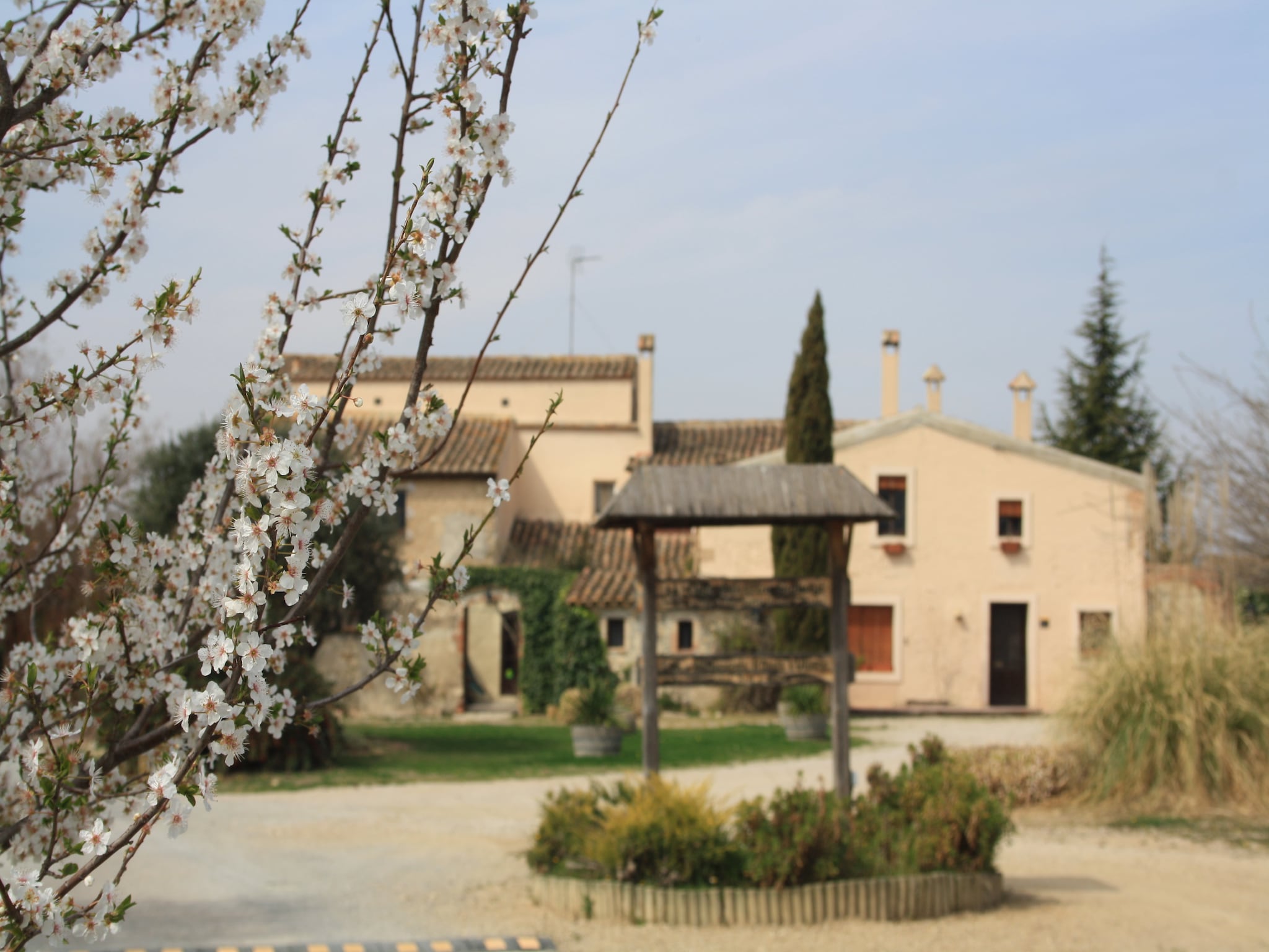 Semesterhus L'Olivera Dalt i Baix