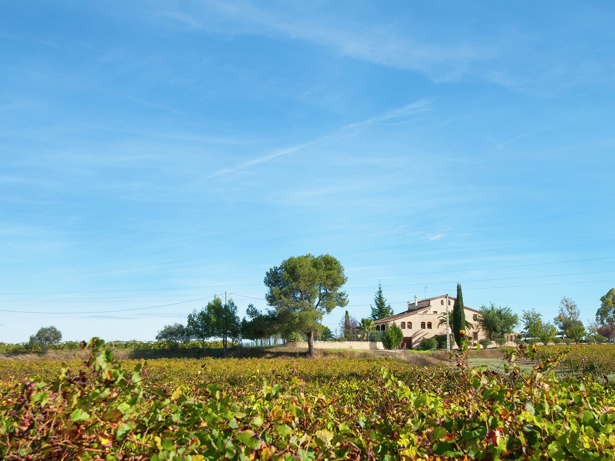 Semesterhus L'Olivera Dalt i Baix