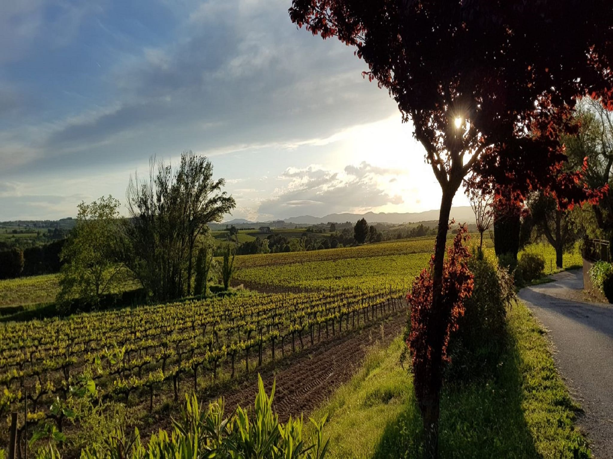 Semesterhus L'Olivera Dalt i Baix