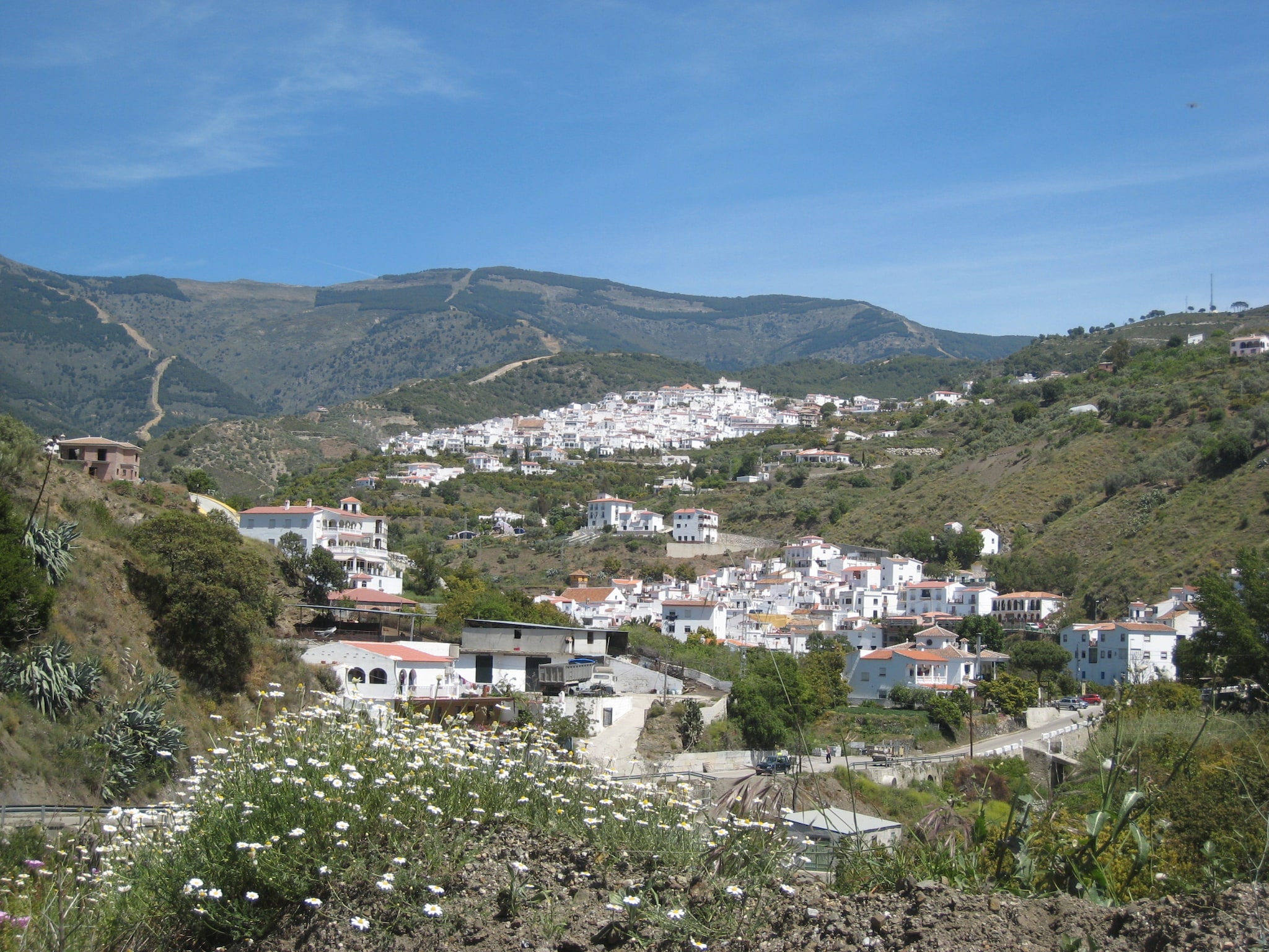 Feriebolig Villa Las Reinas