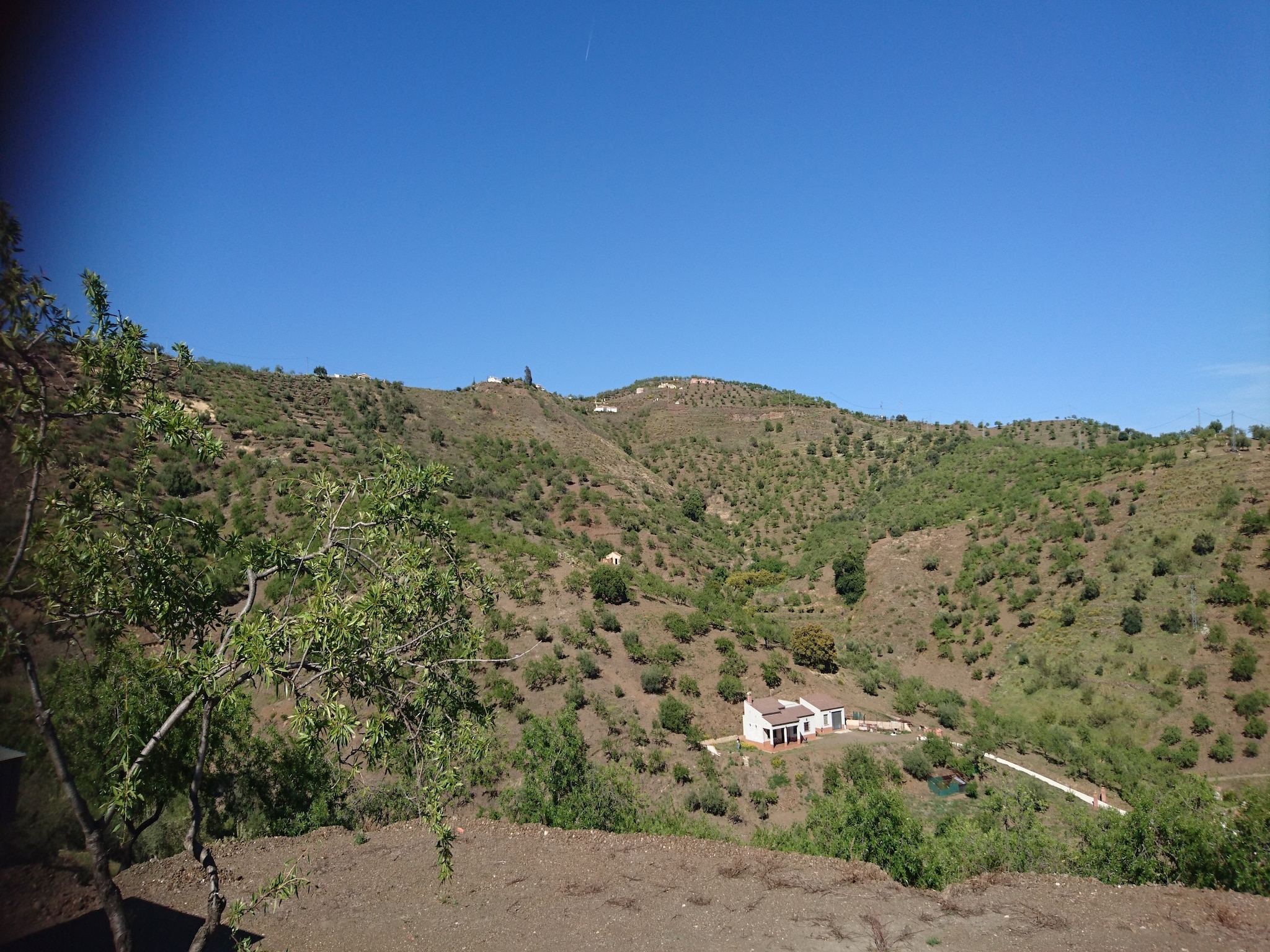 Feriebolig Villa Las Reinas