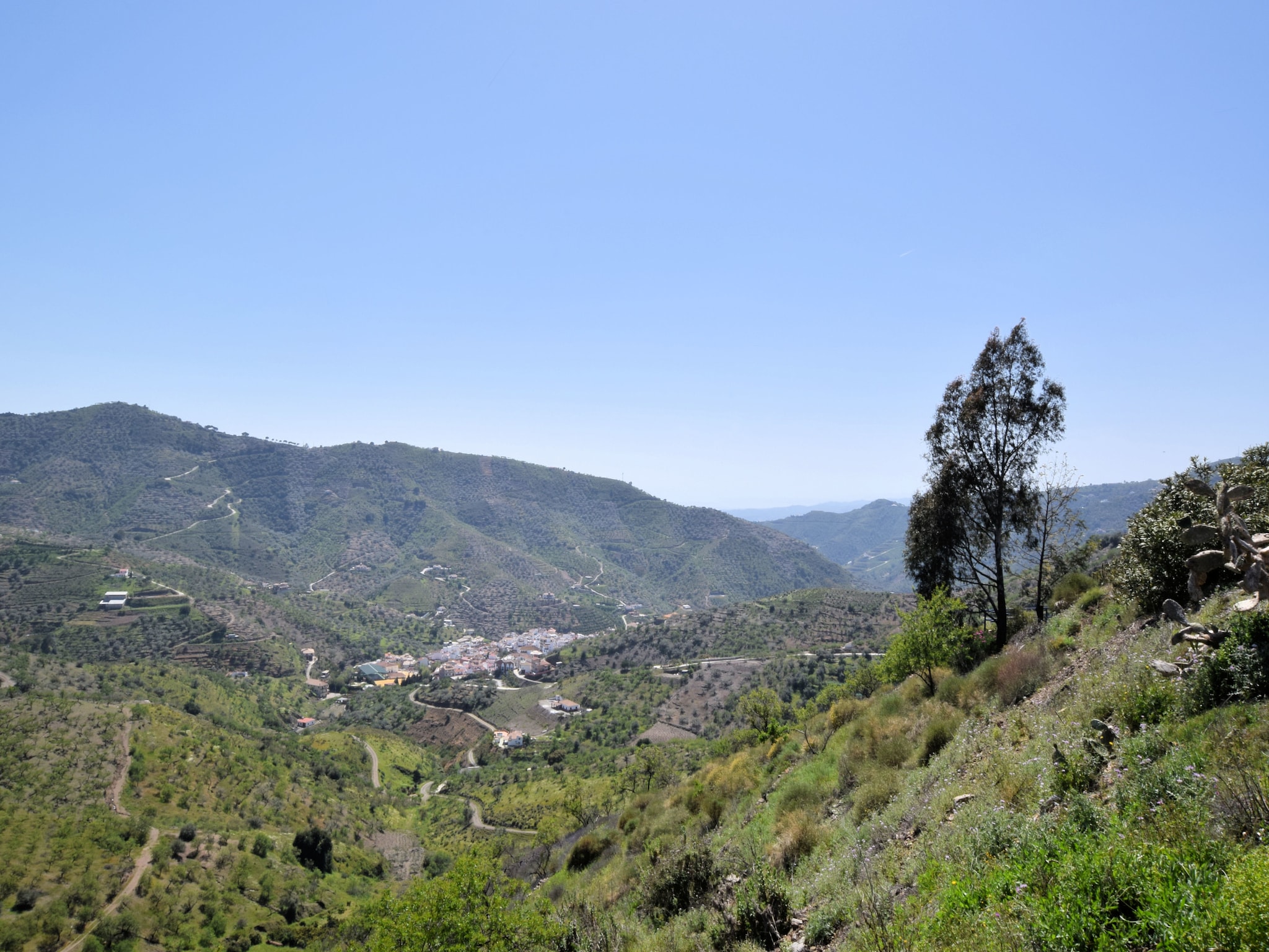 Feriebolig Villa Las Reinas