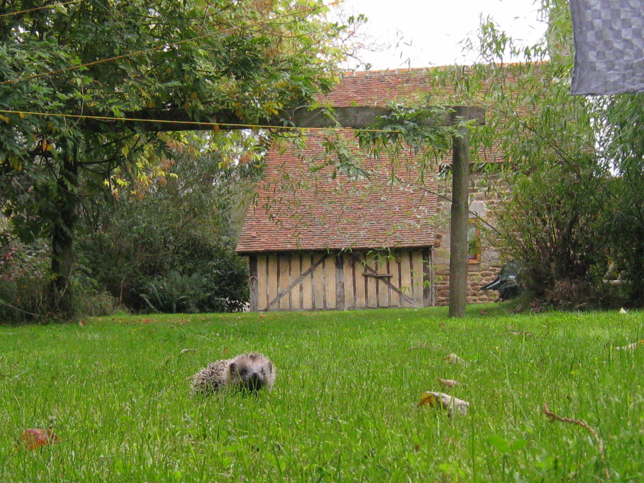   Le Fournil