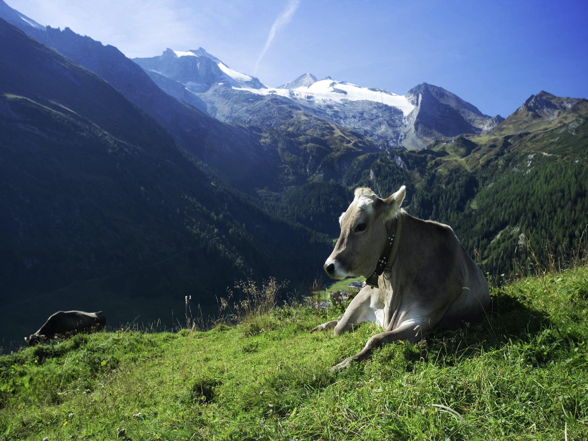 Appartement Rieser
