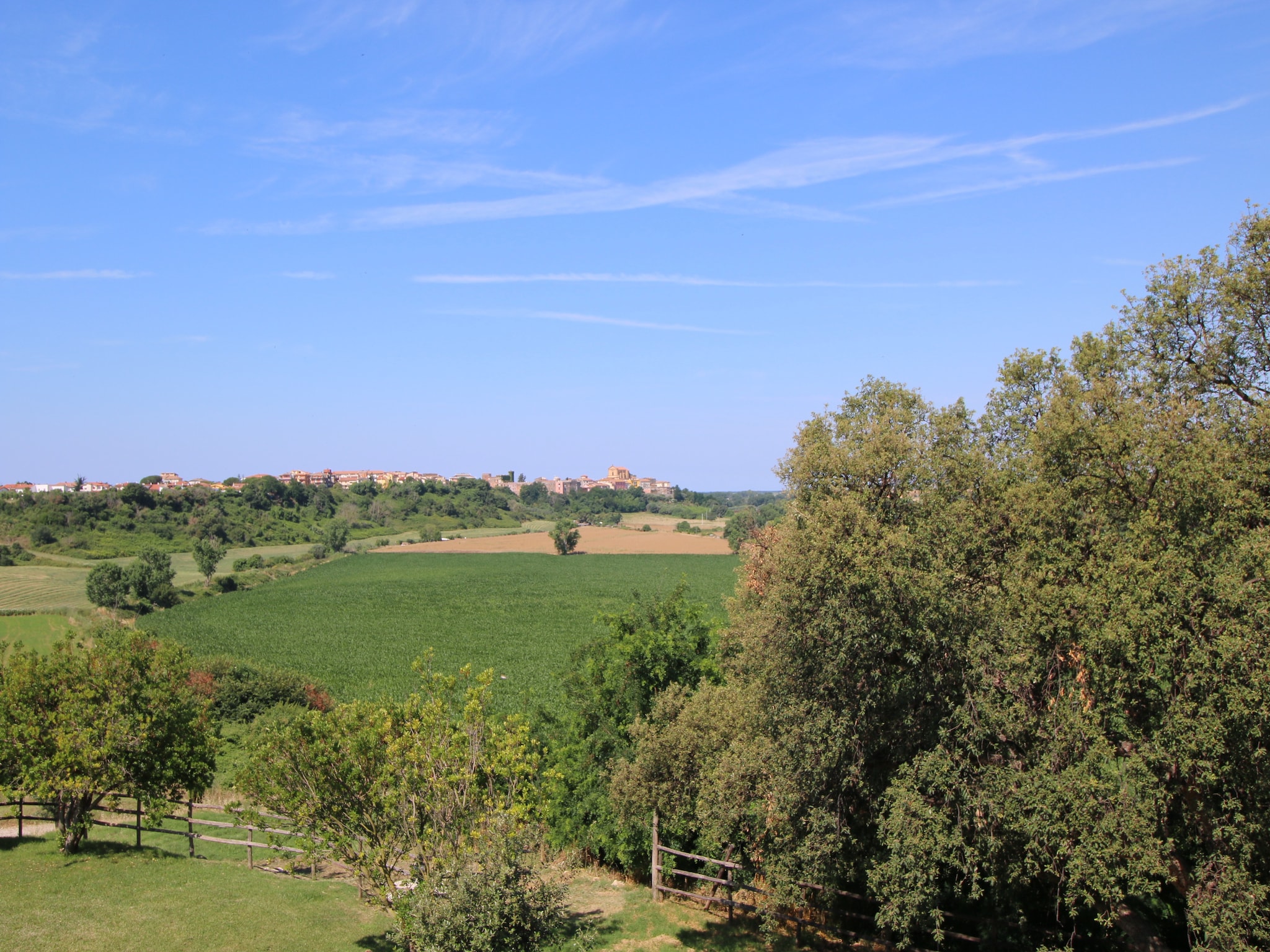 Lomatalo Lentisco