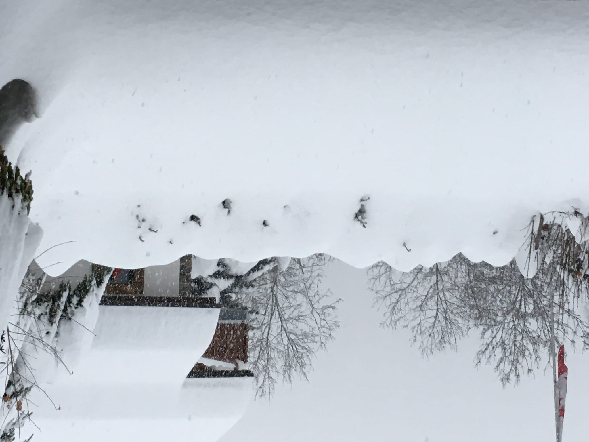 Ferienhaus Dominic