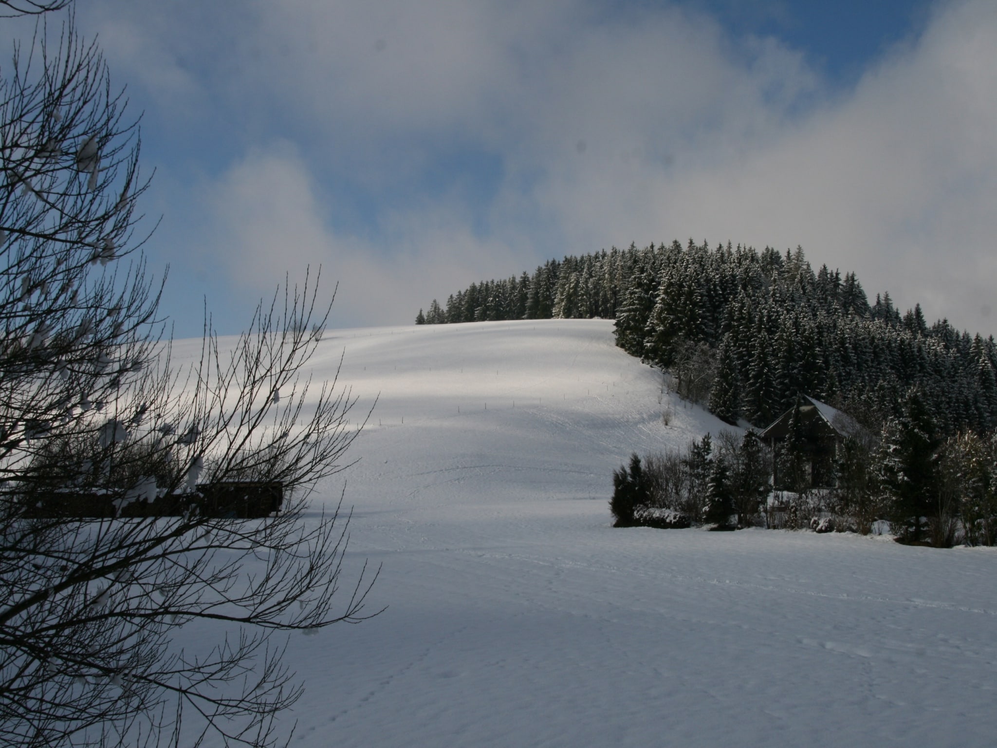   Alte Mühle