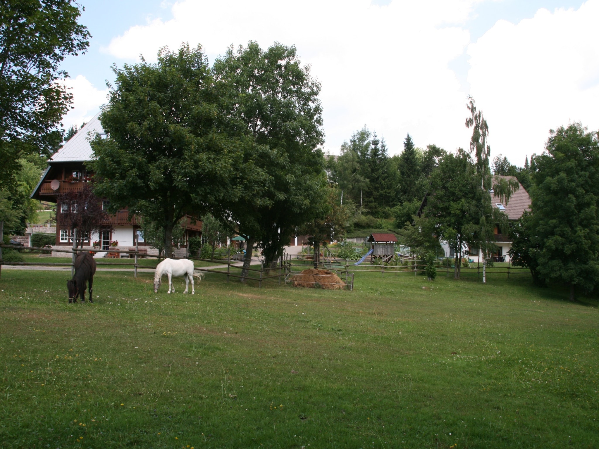   Alte Mühle