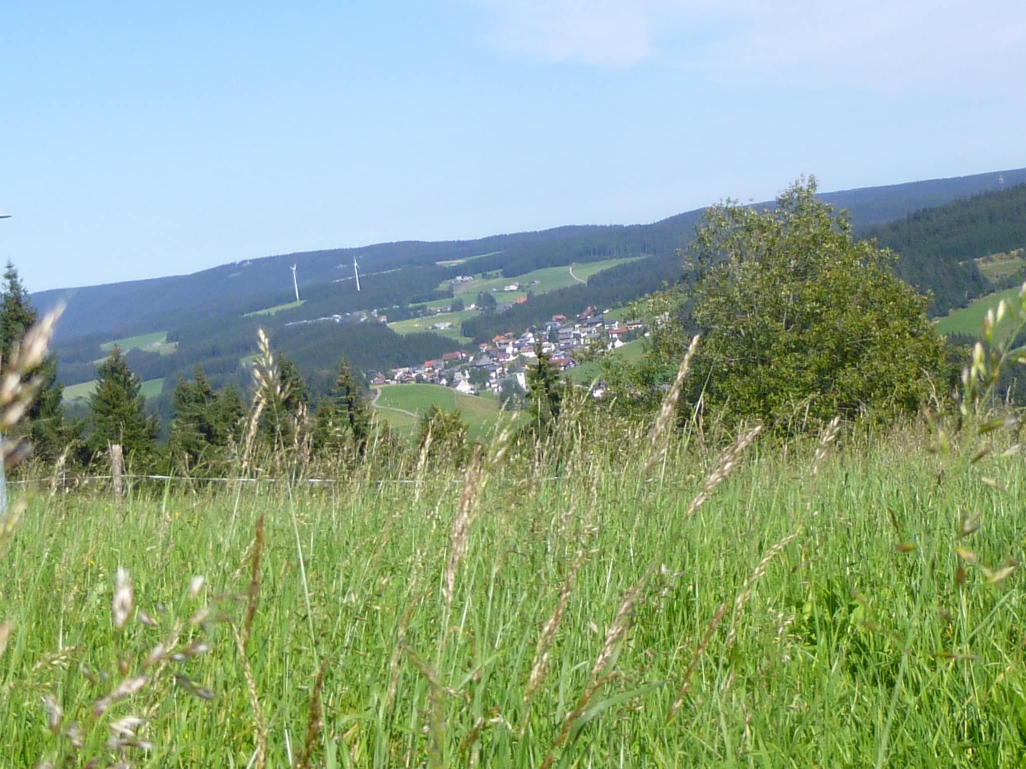 Appartement Neukirch
