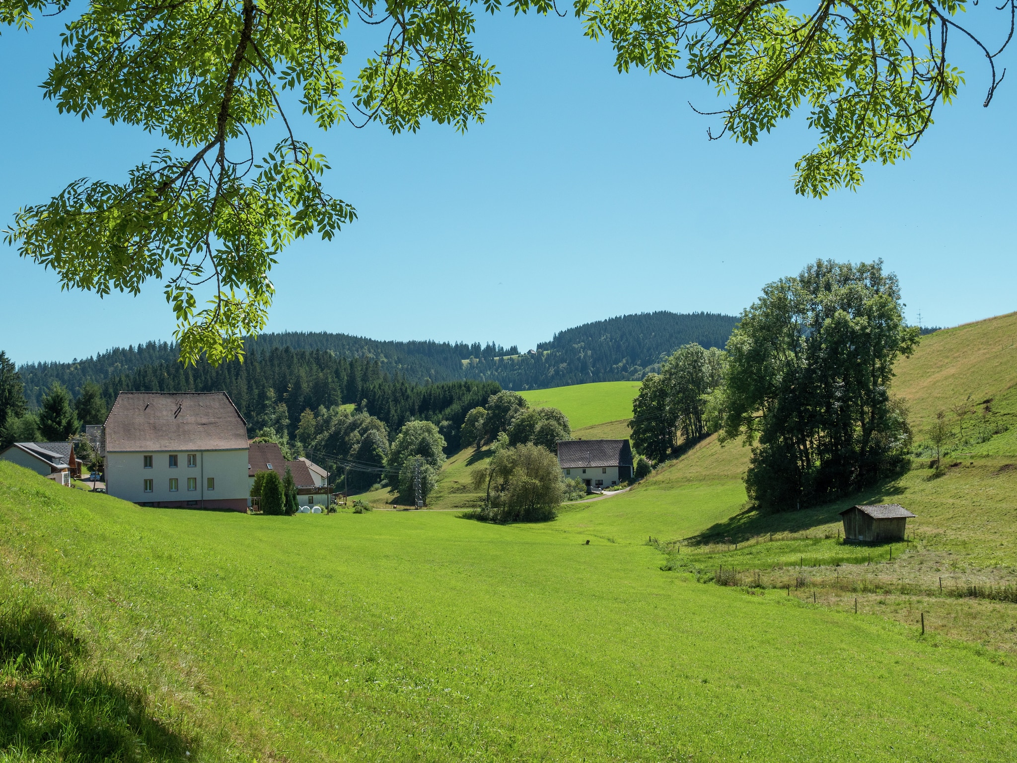 Appartement Neukirch