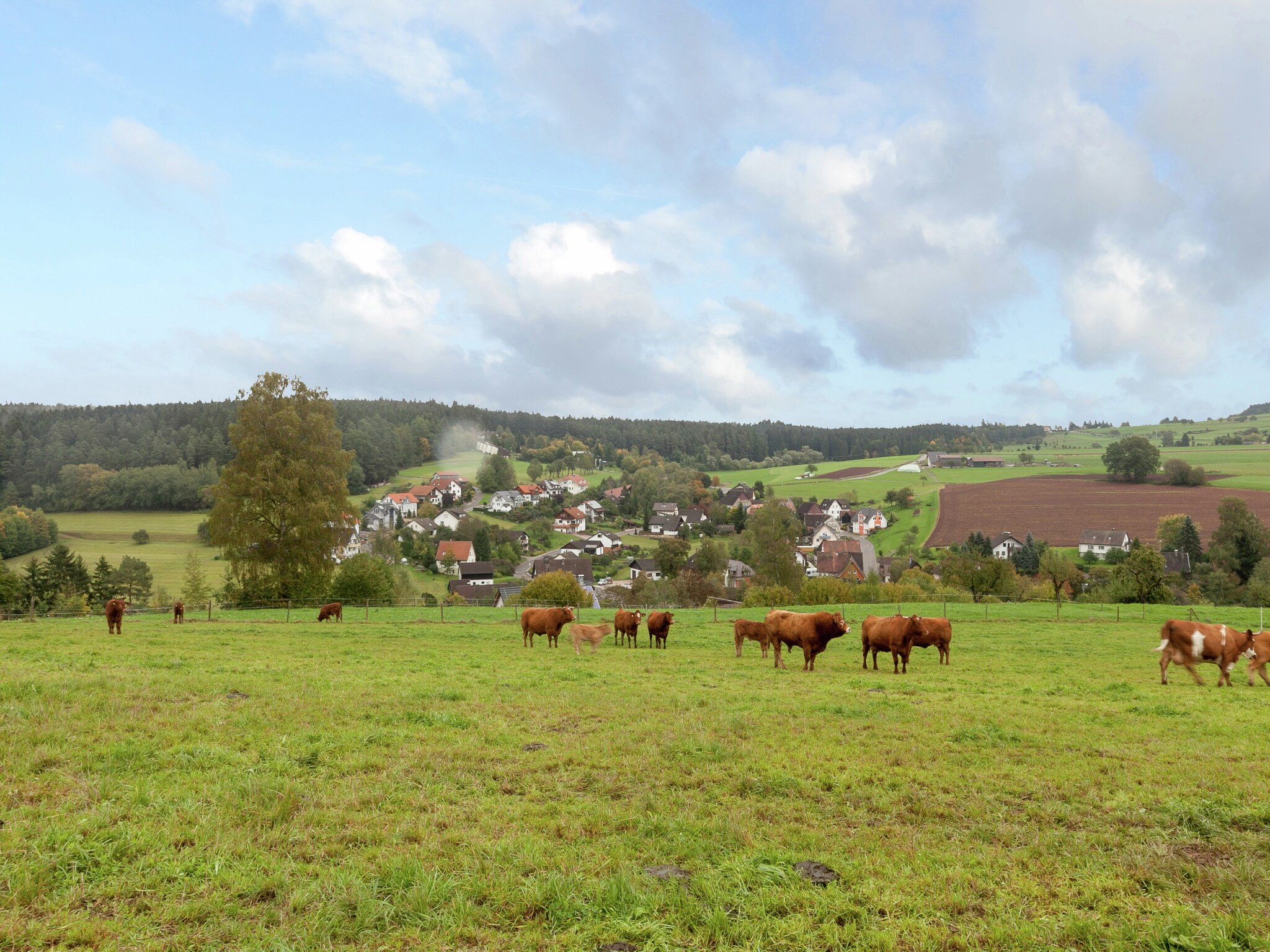 Ferienwohnung Am Wald