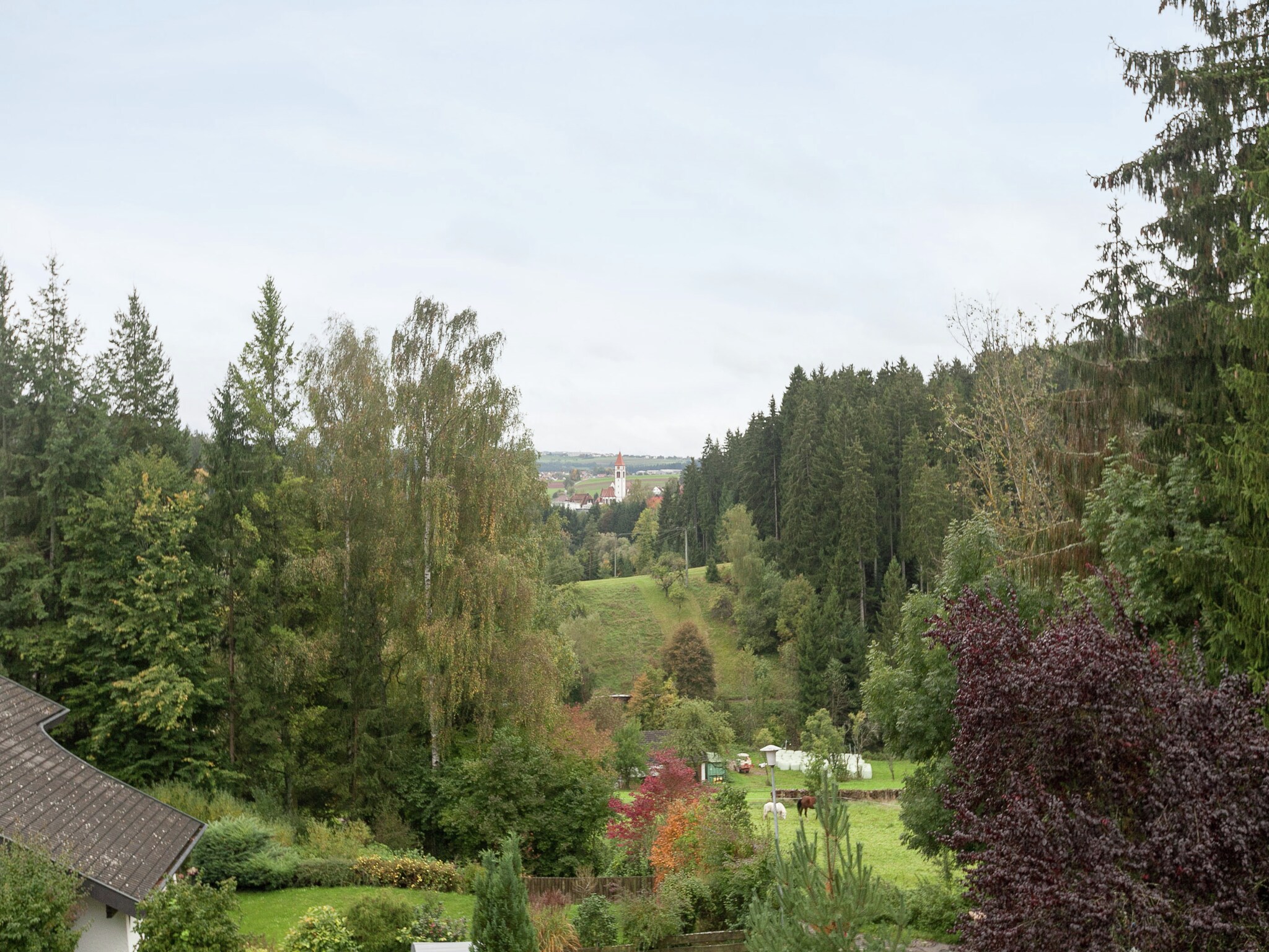 Ferienwohnung Am Wald