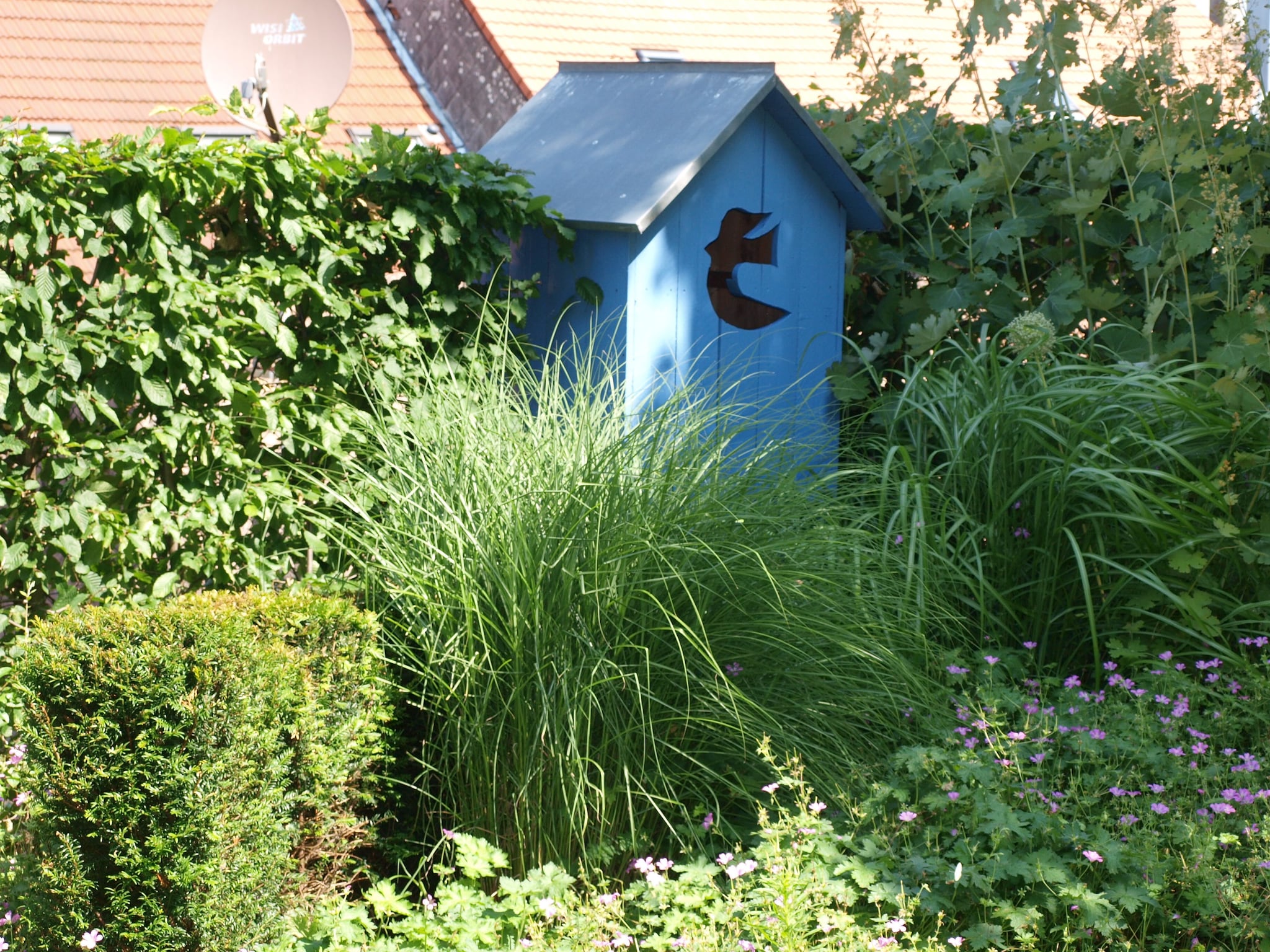   La Schwingmuhle