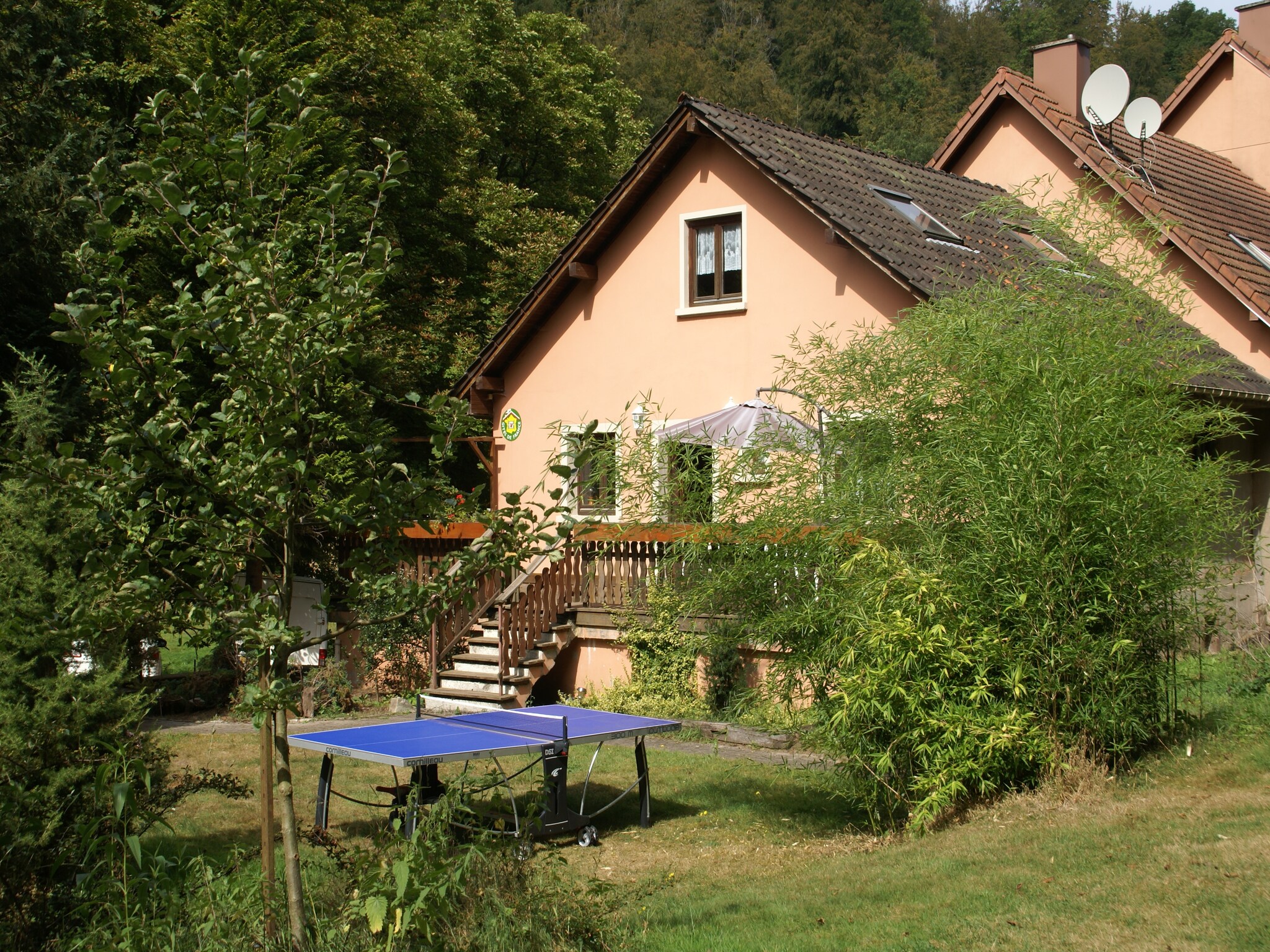   La Schwingmuhle