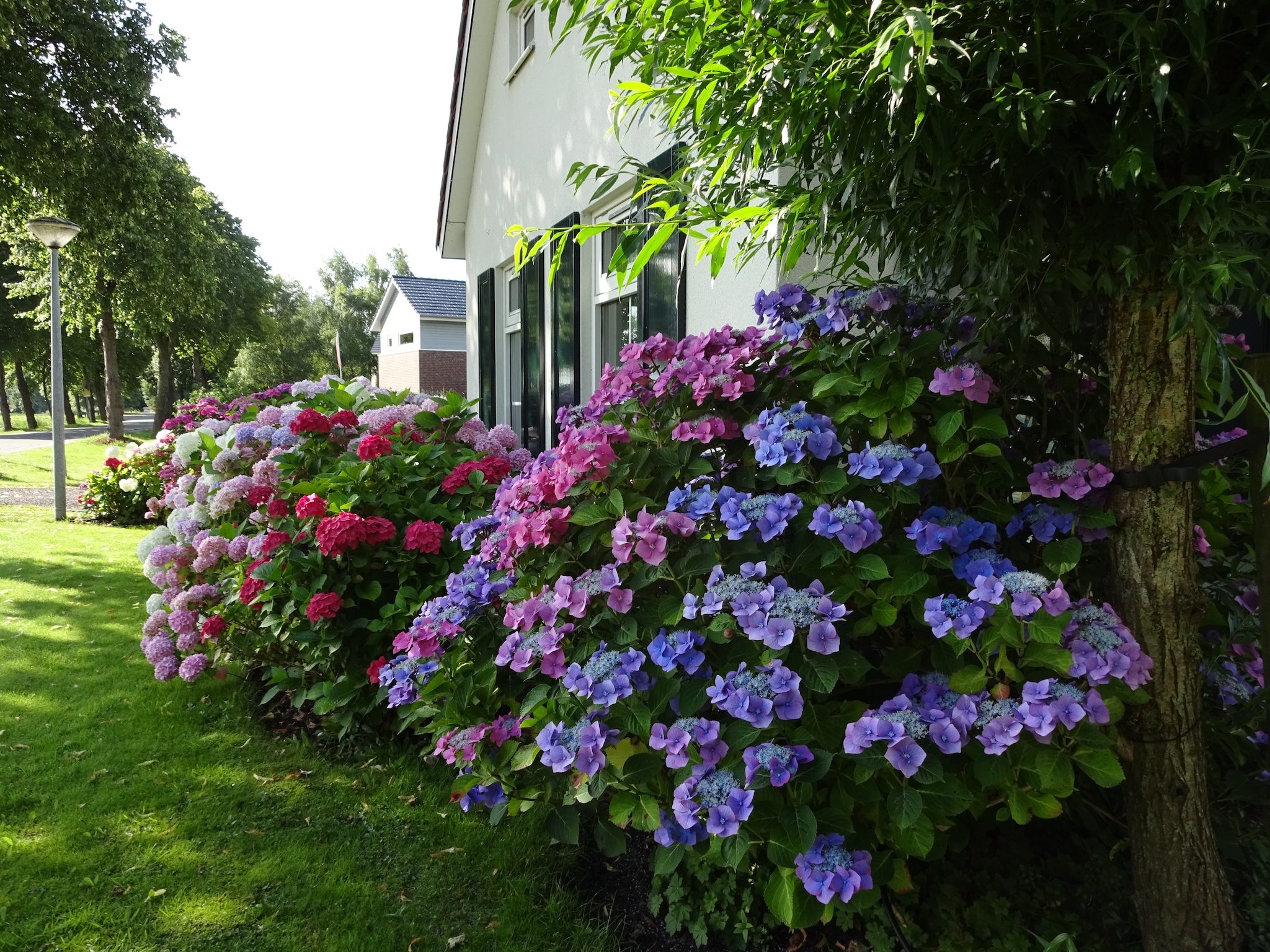   Villa ten Hoeve